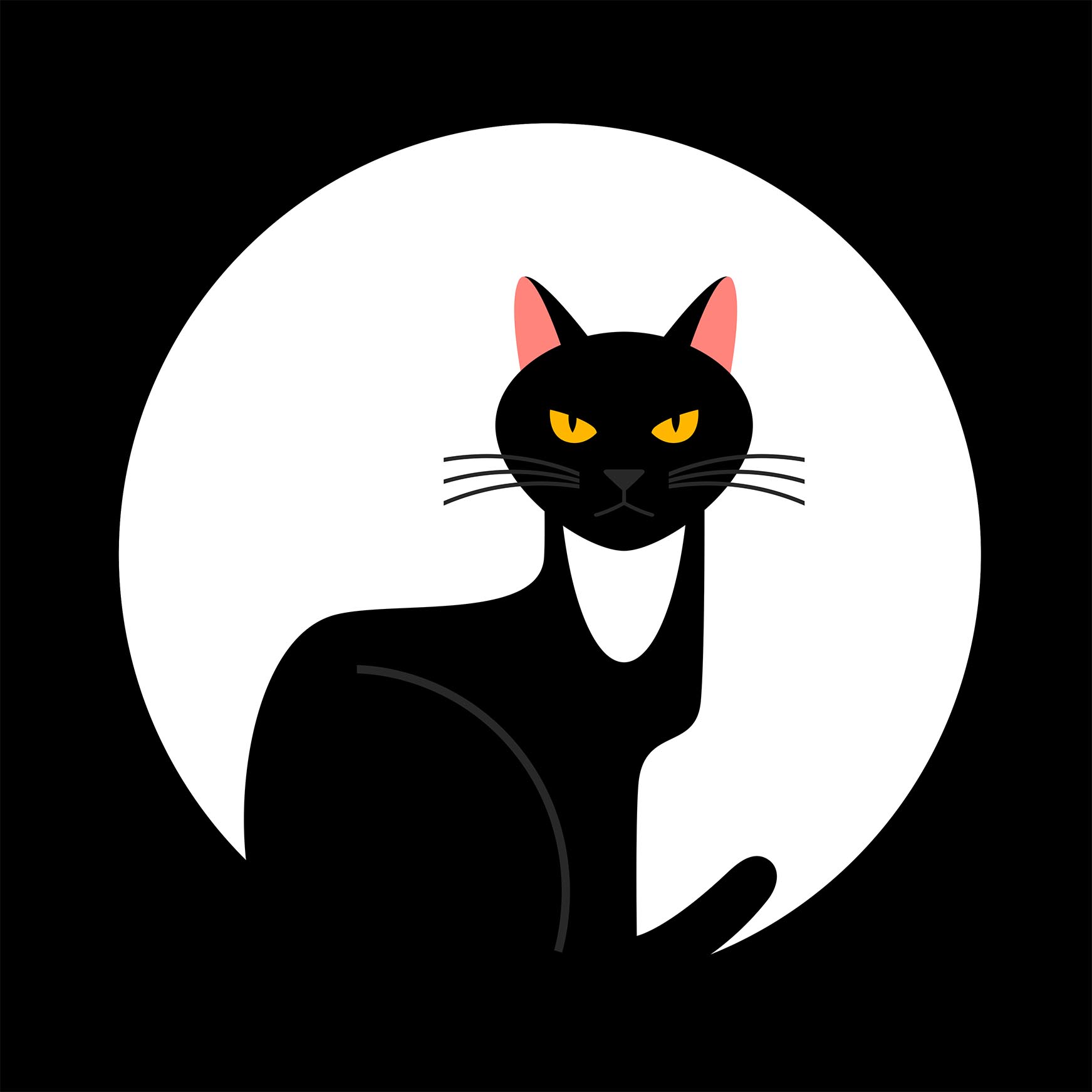 GATO NEGRO.jpg