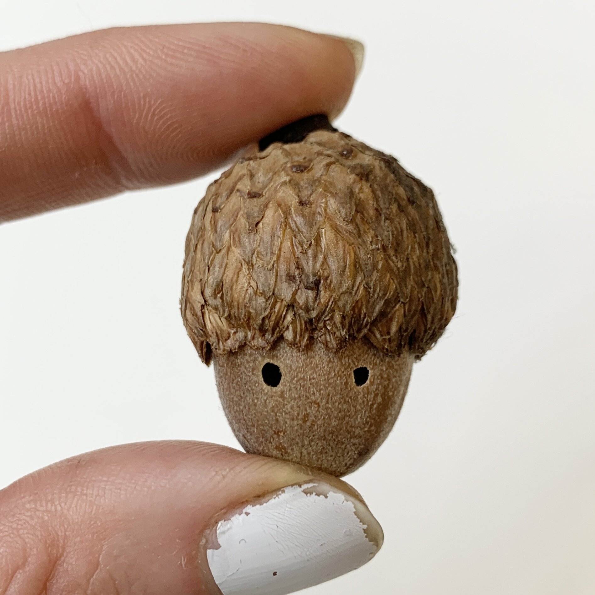 Milking Acorns - Tannin Solution