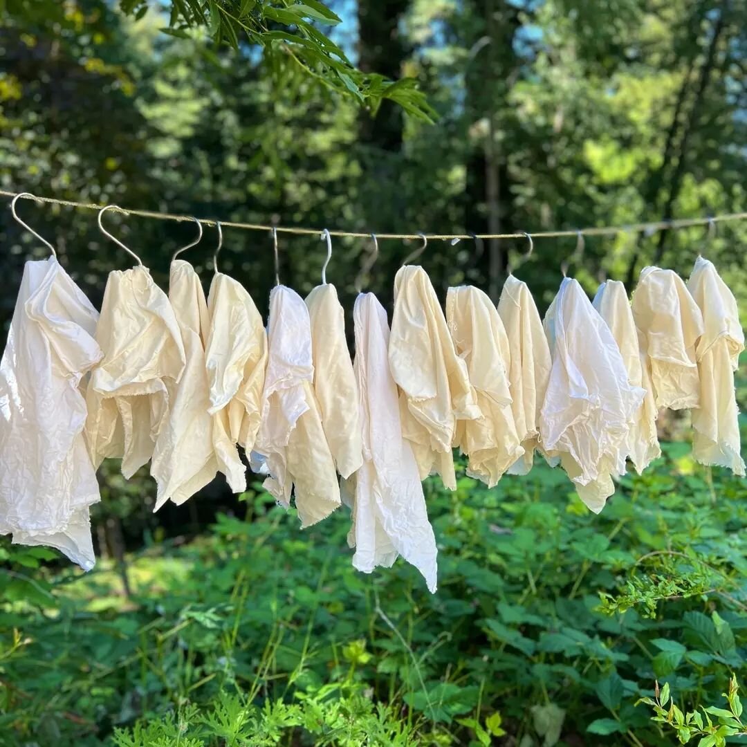 I'm getting ready to do a bunch of #NaturalDyeing&nbsp;🌿&nbsp;This is the second batch of fabric I mordanted this week. I have another batch of fabric prepped for tomorrow.&nbsp;Soon my clothesline will be filled with all the pretty colors. Yellow i