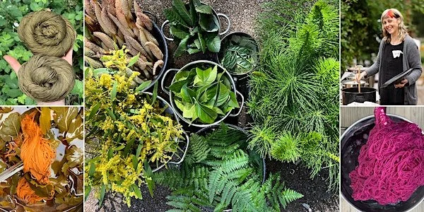 Natural Dyes with Heidi Iverson & Allison Reilly