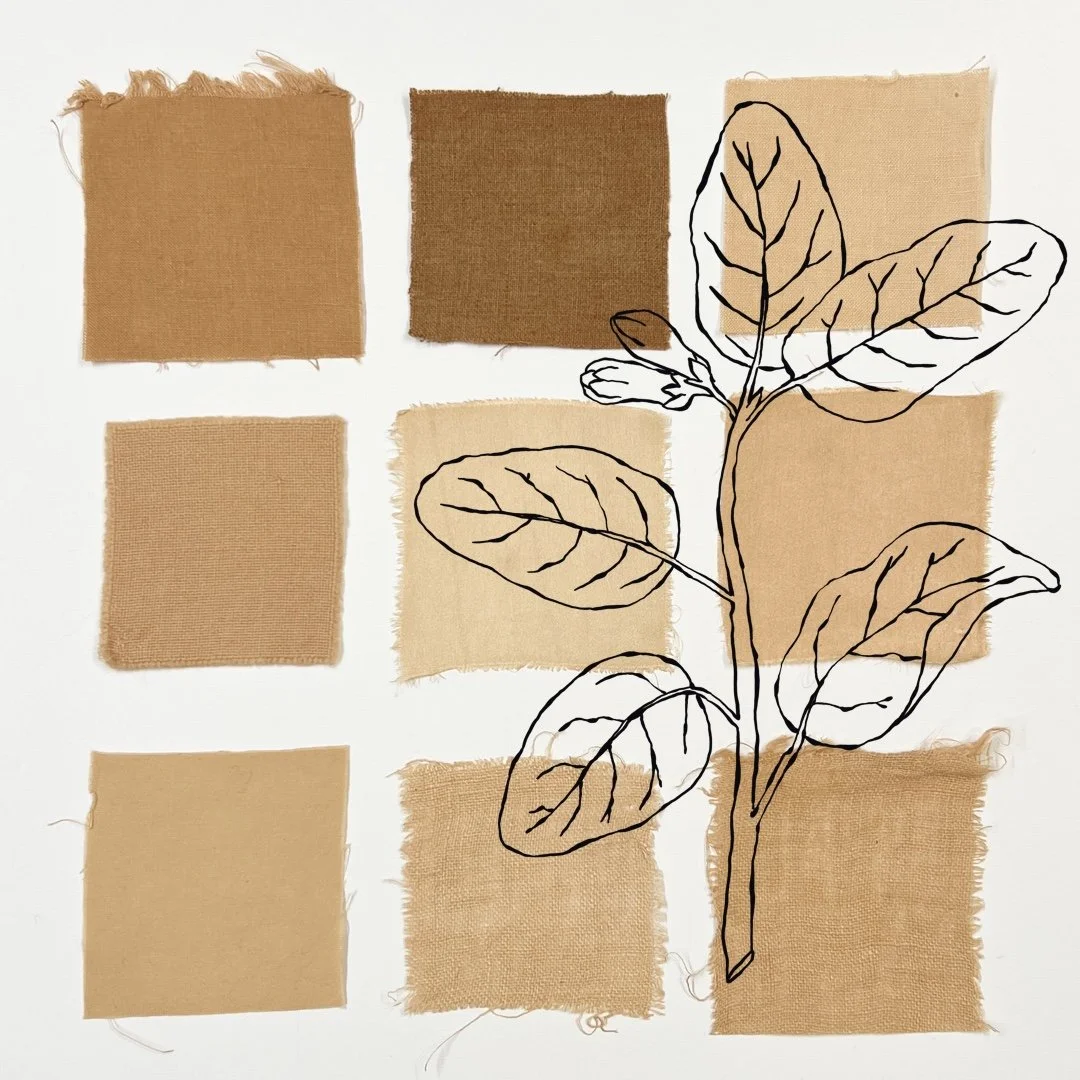 Pacific Madrone Bark(Strawberry Tree) - Natural Dyeing