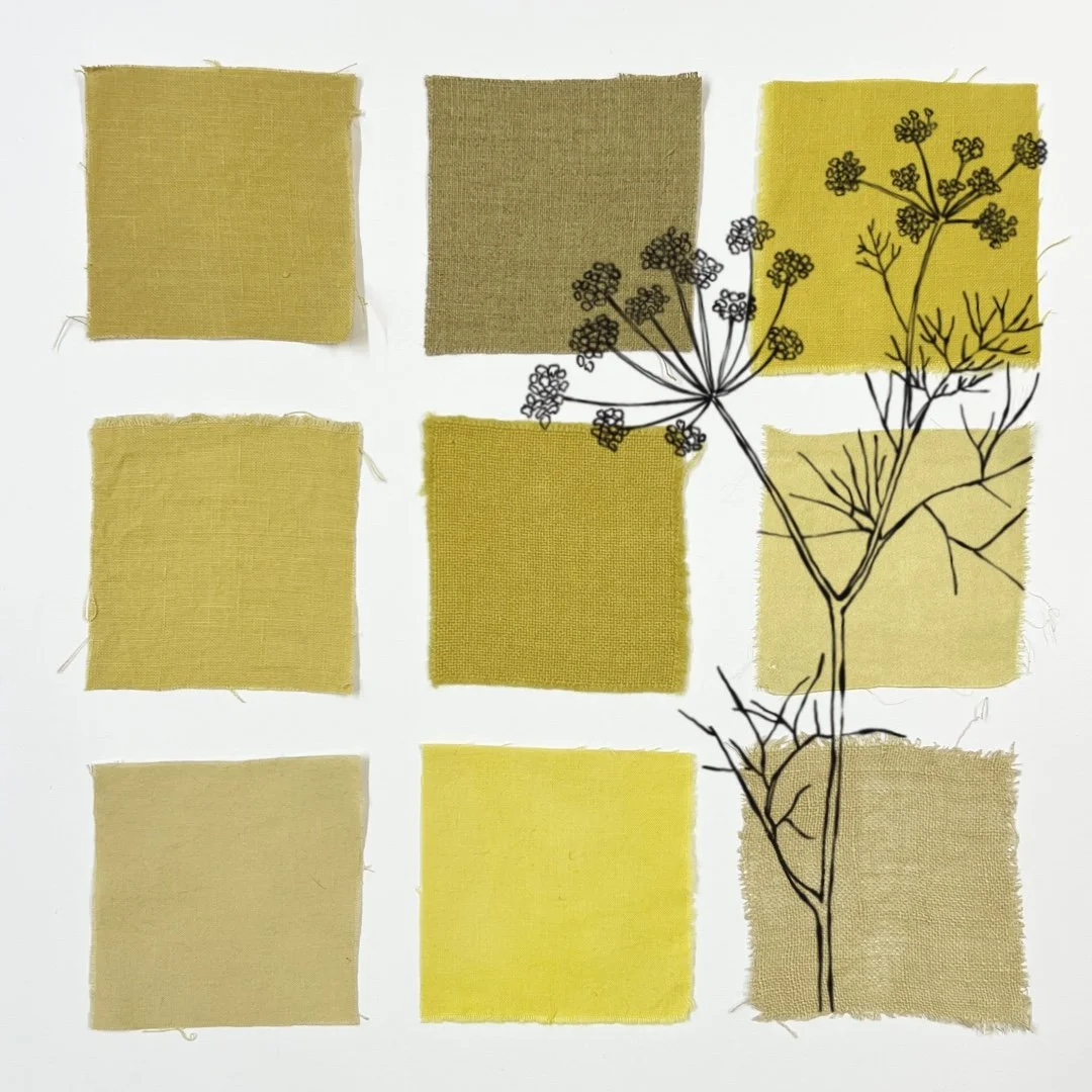 Wild Fennel - Natural Dyeing