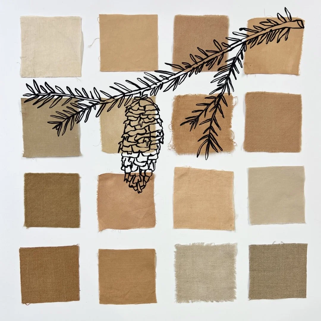 Douglas Fir - Natural Dyeing