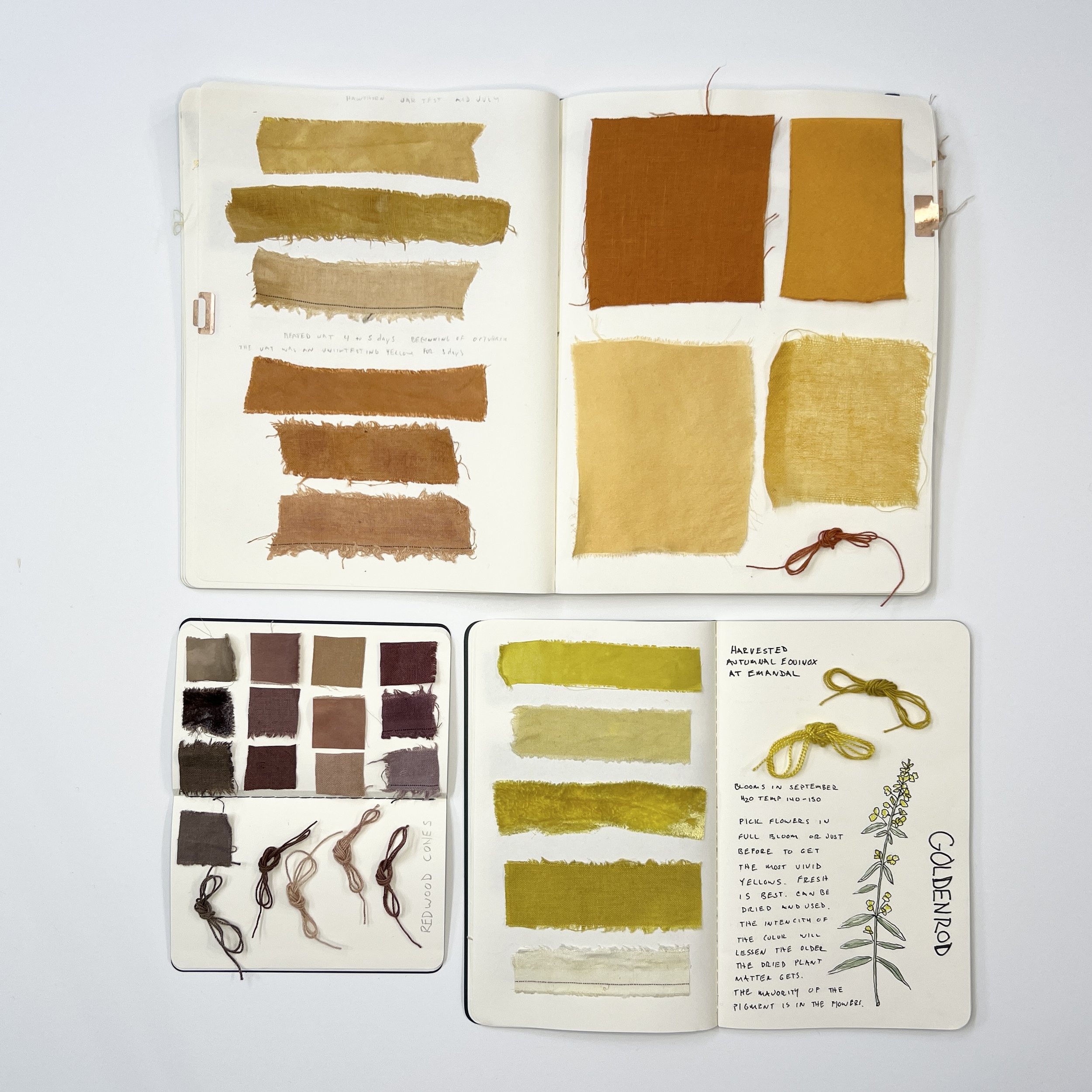 DyeJournal Group.jpg