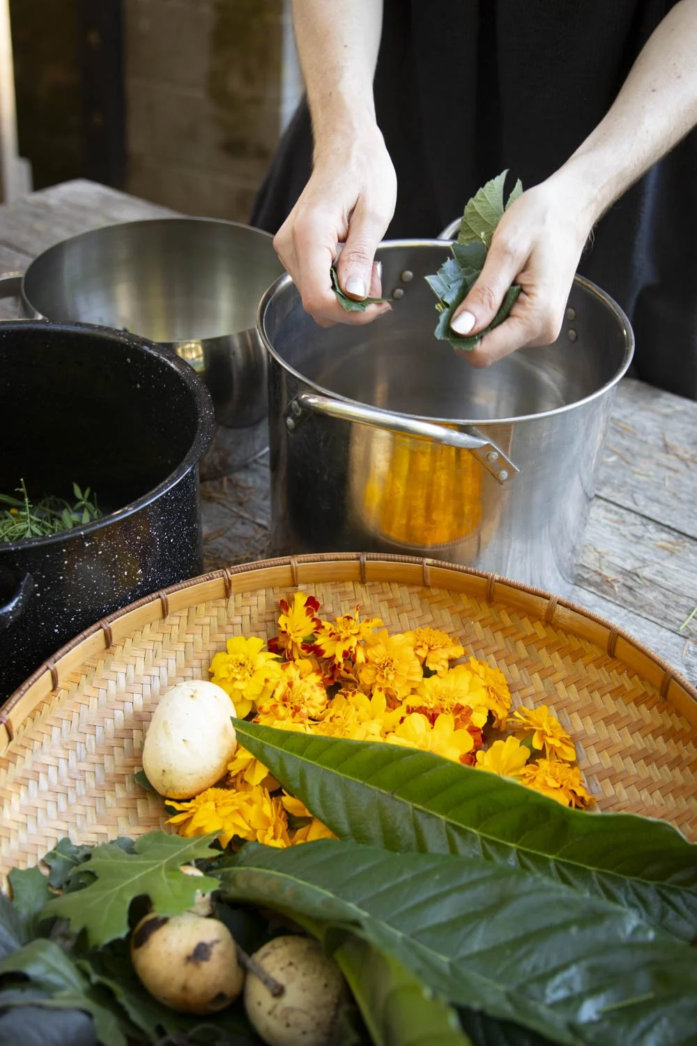 Botanical Dyeing: Exploring Emandal's Secret Colors In Summer