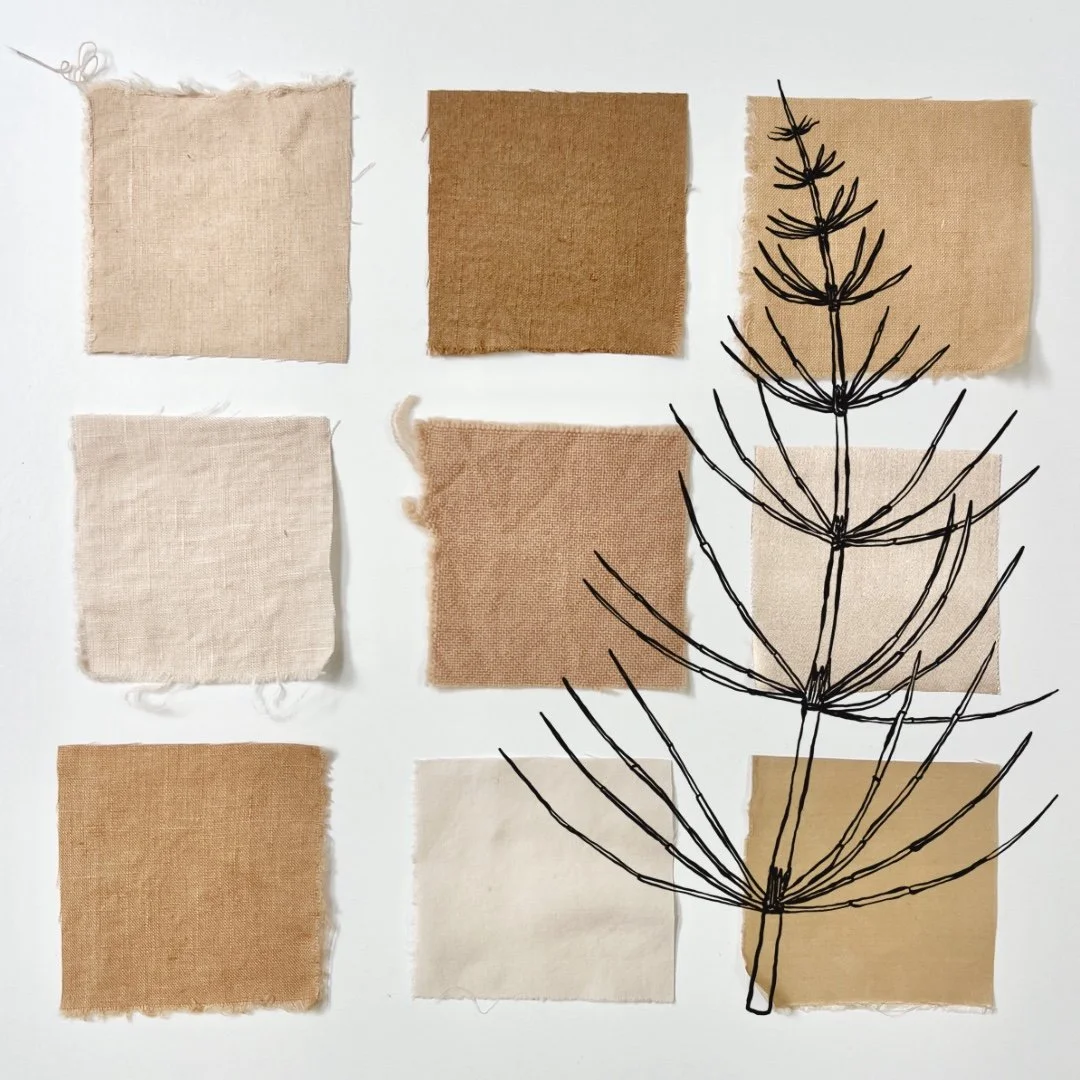 Northern Giant Horsetail - Natural Dyeing 