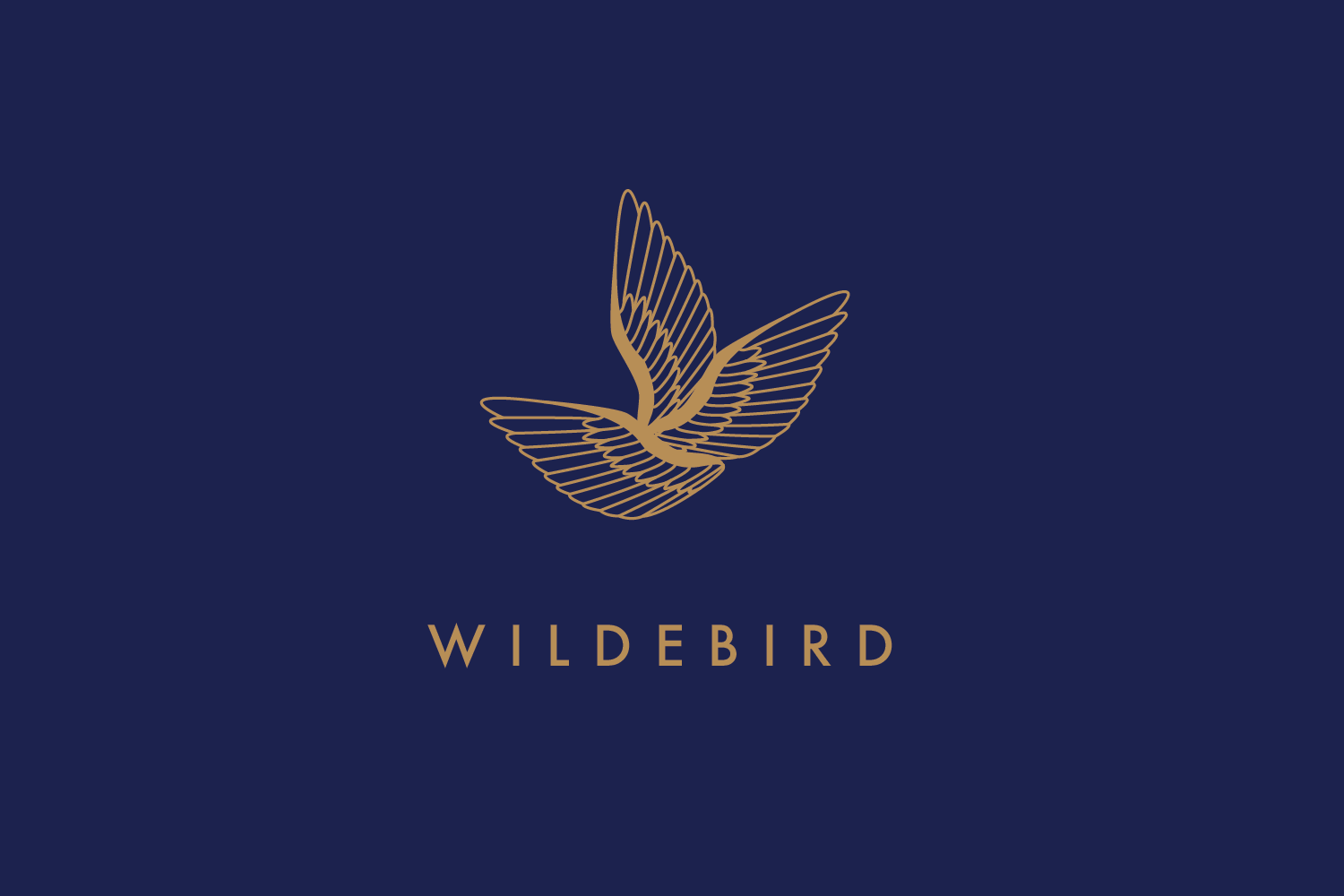  Logo and Brand Identity Concept 