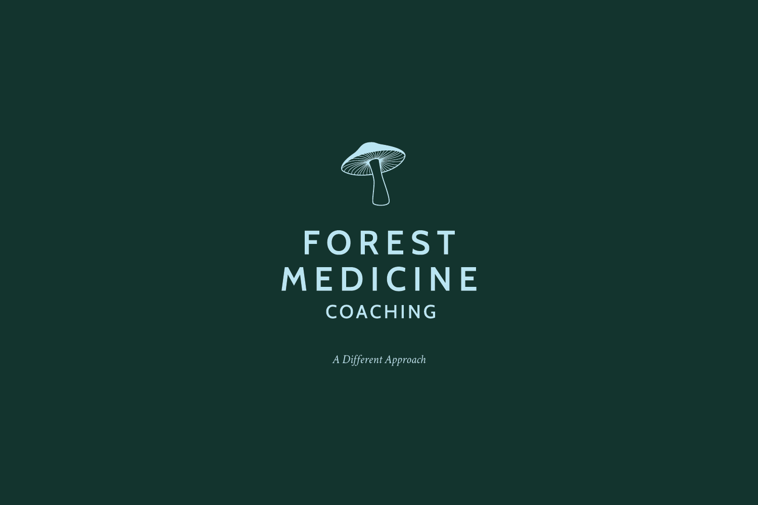  Logo — Brand Identity 