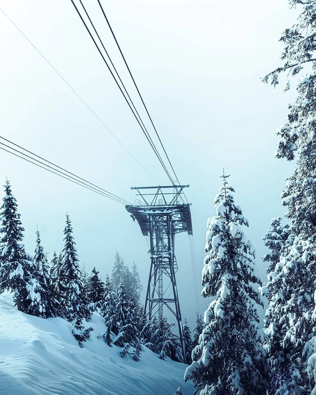 Looking back on shots from the roadtrip I took right before the world shut down.. Reminiscing on random roadtrips that turned into some of my best memories..
⠀⠀&nbsp;⠀⠀⠀⠀⠀&nbsp;⠀⠀&nbsp;⠀⠀⠀&nbsp;⠀⠀⠀⠀⠀⠀⠀⠀⠀⠀⠀⠀⠀⠀⠀⠀⠀⠀⠀⠀⠀⠀⠀&nbsp;⠀⠀⠀⠀⠀⠀&nbsp;⠀⠀⠀⠀⠀⠀⠀⠀⠀⠀⠀⠀⠀⠀⠀