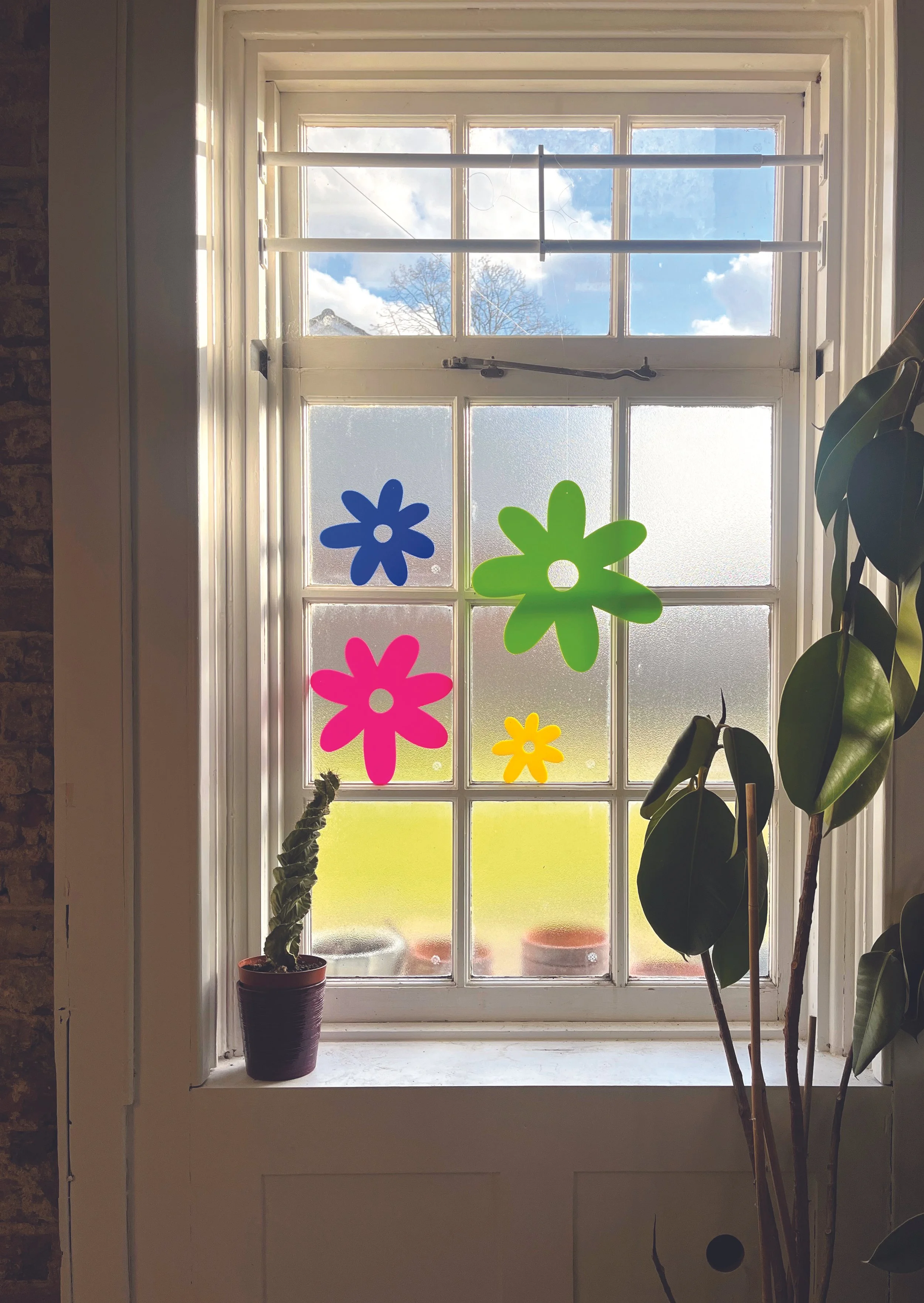 Flower hangs in window postcard.jpg