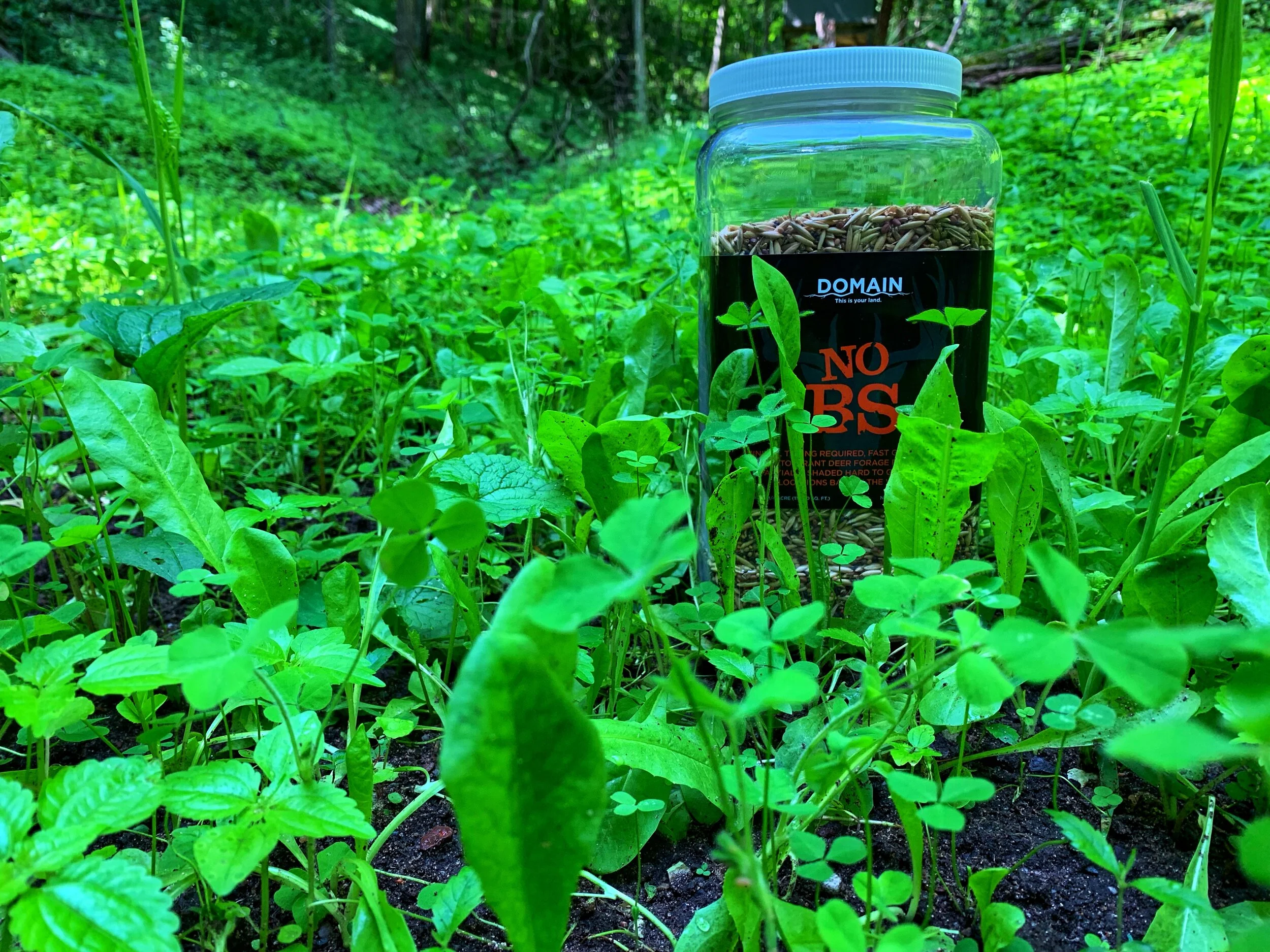 No Till Food Plots For Deer Domain Outdoor Food Plots Deer Food Plots