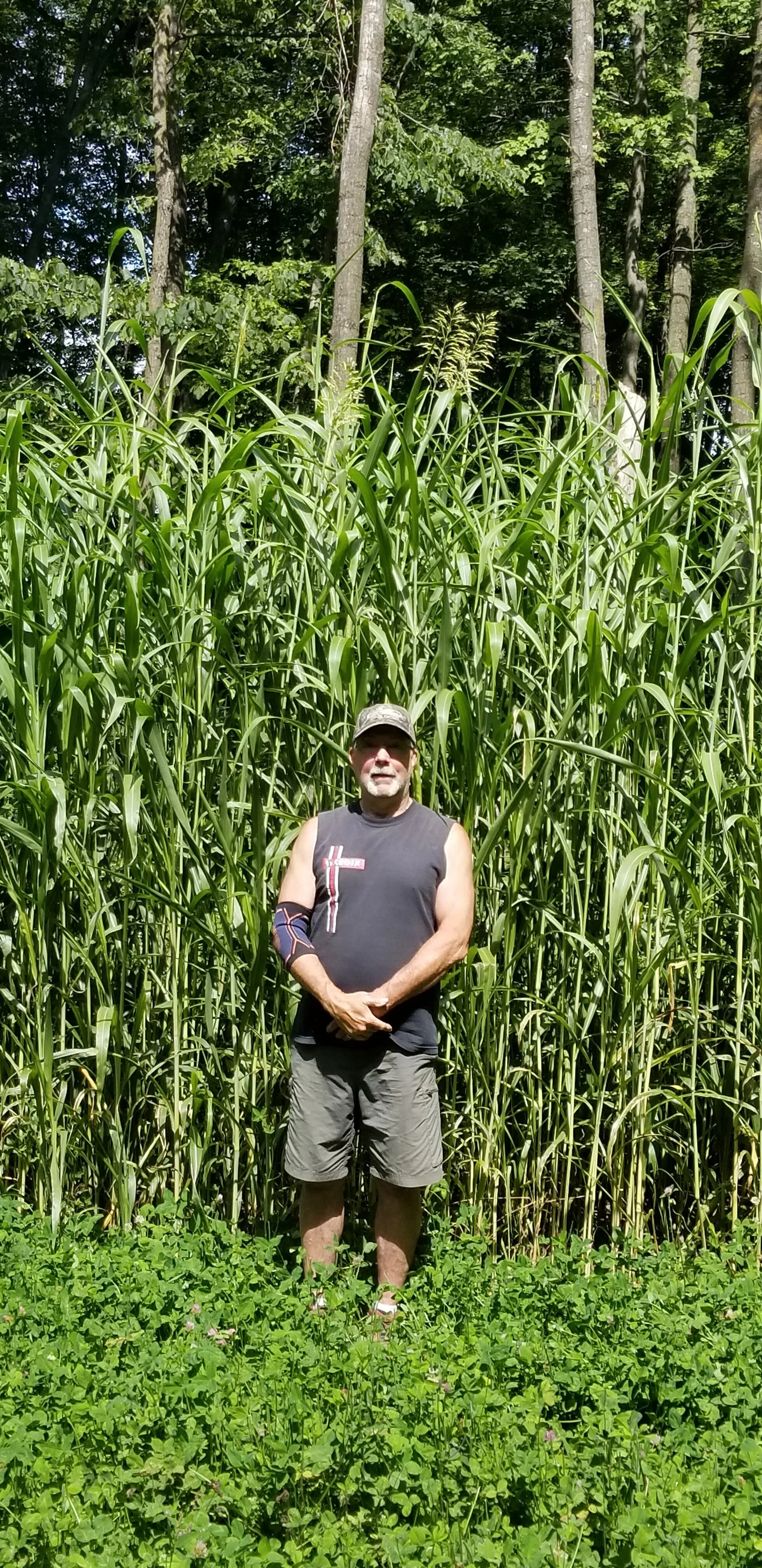 Incognito Domain Outdoor Food Plots Deer Food Plots