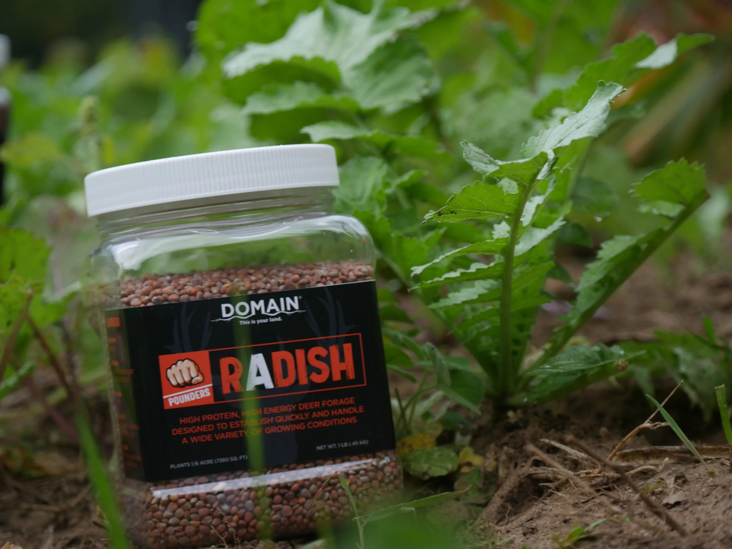 Domain Pounder Radish — Domain Outdoor Food Plots Deer Food Plots