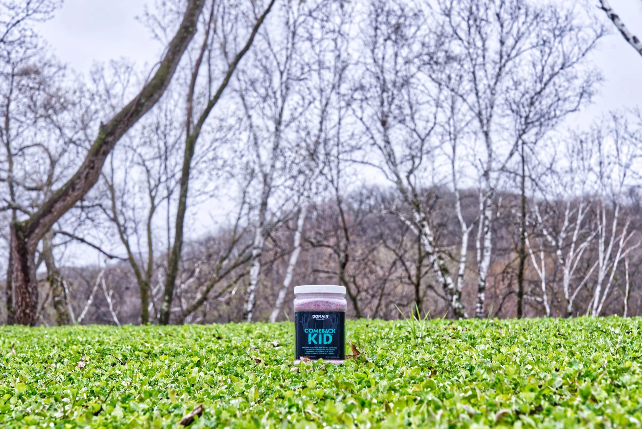 Creating a Year Round Food Plot for Deer — Domain Outdoor Food Plots