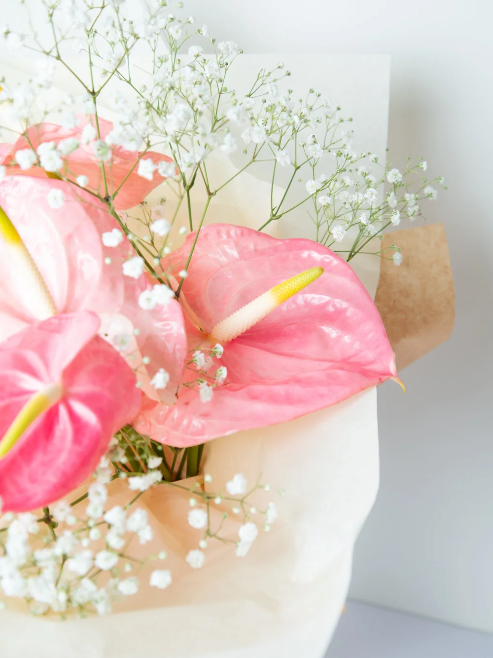 Anthurium | Tropical Flowers | Fresh Cut Flowers | Flower Delivery near  Caulfield Melbourne  The Doctors' Flowers
