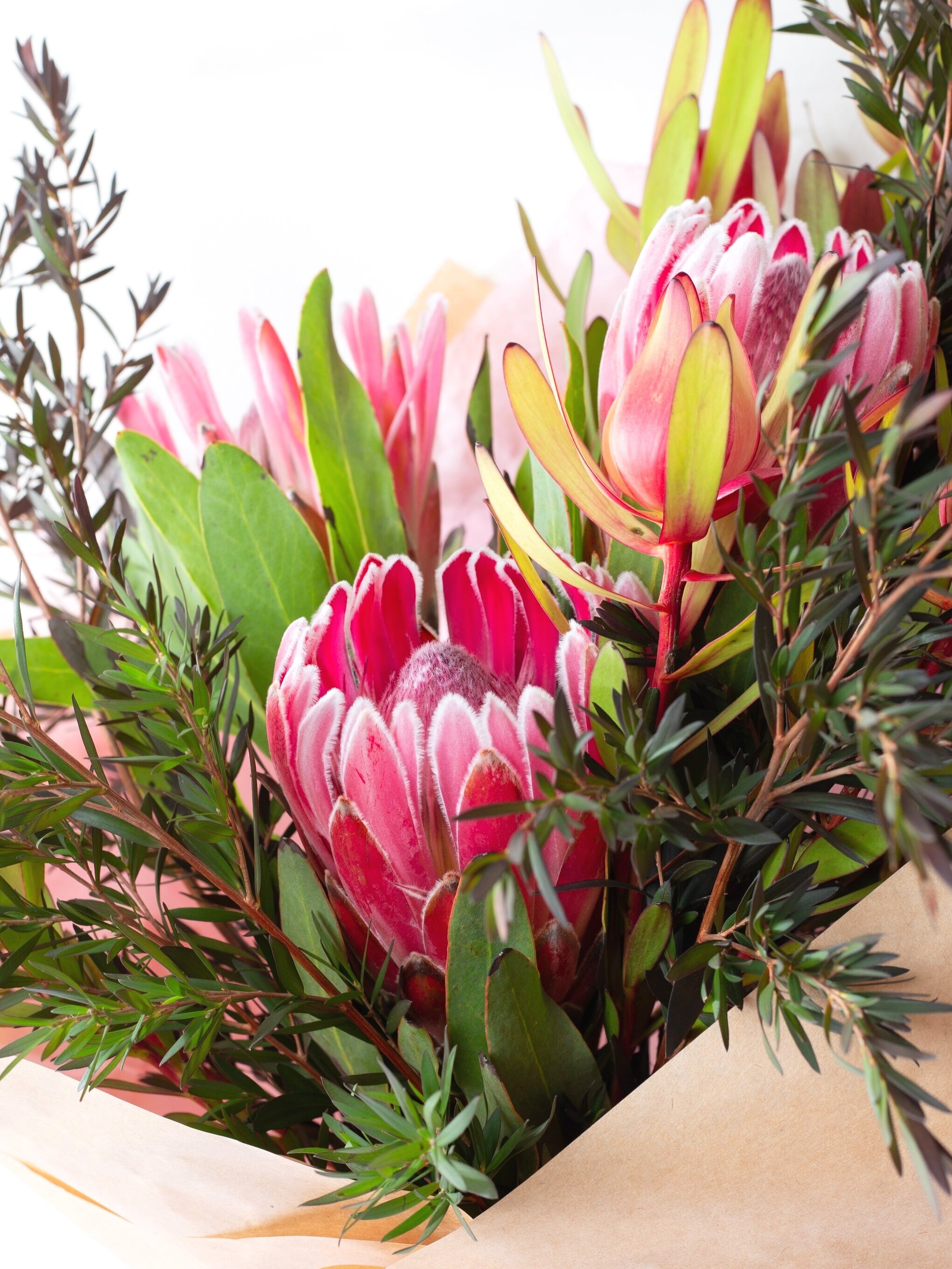 Native-Bouquet-Doctors-Flowers-1.jpg
