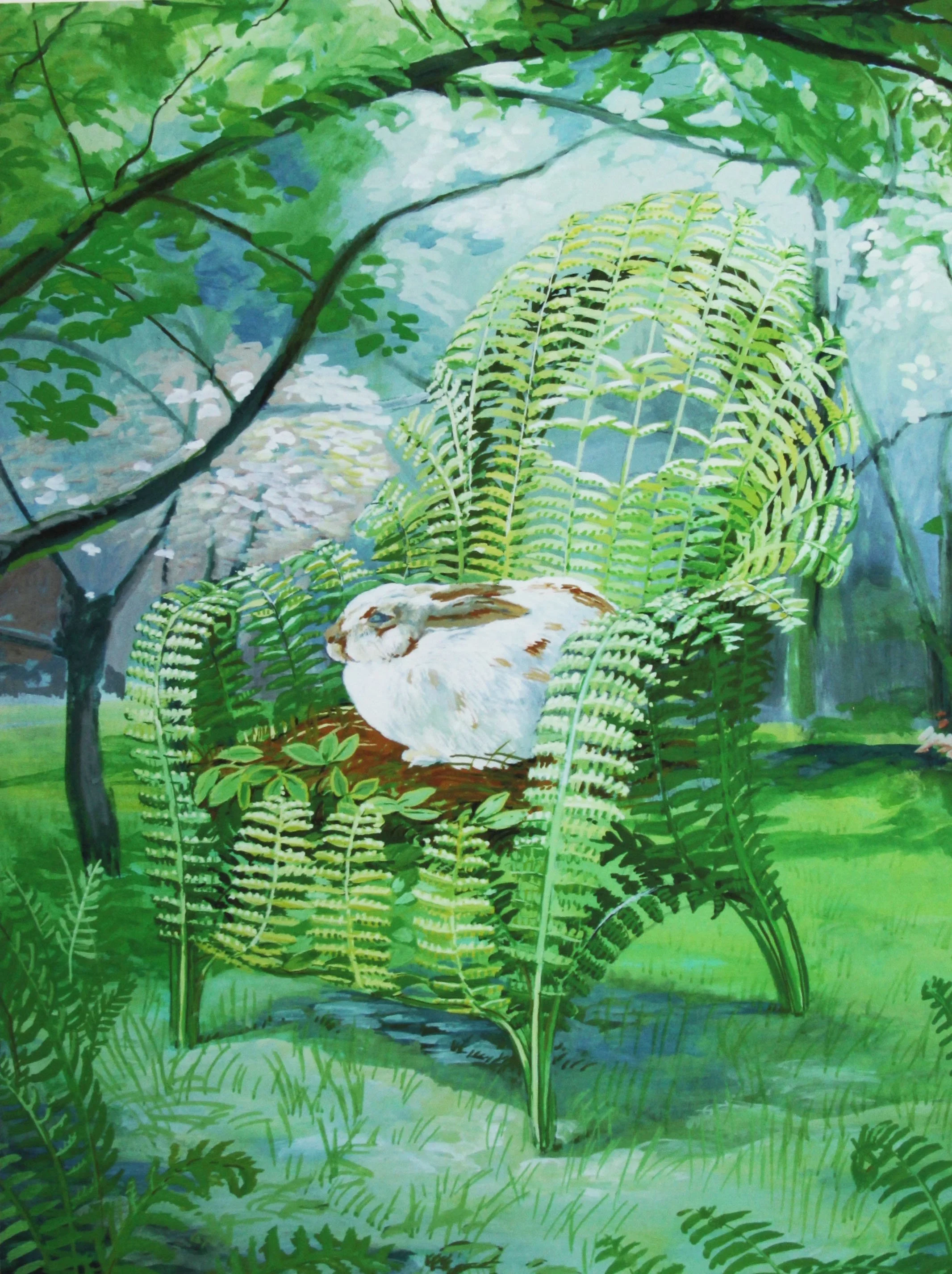 Fern Rabbit Glen 2.jpeg