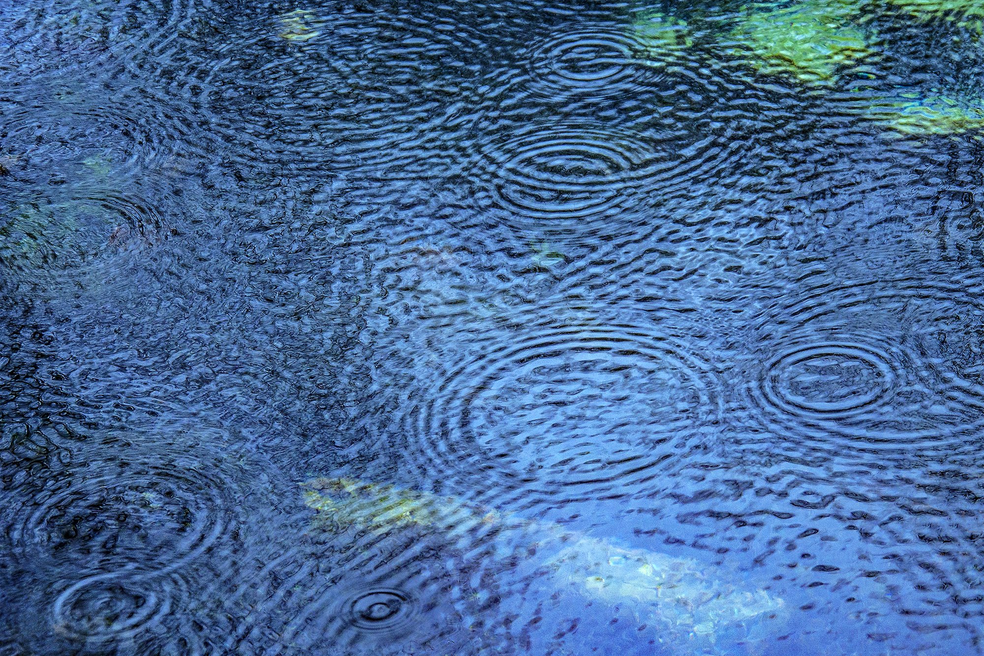 Schoenleber_Rain Drops_0988 .jpg