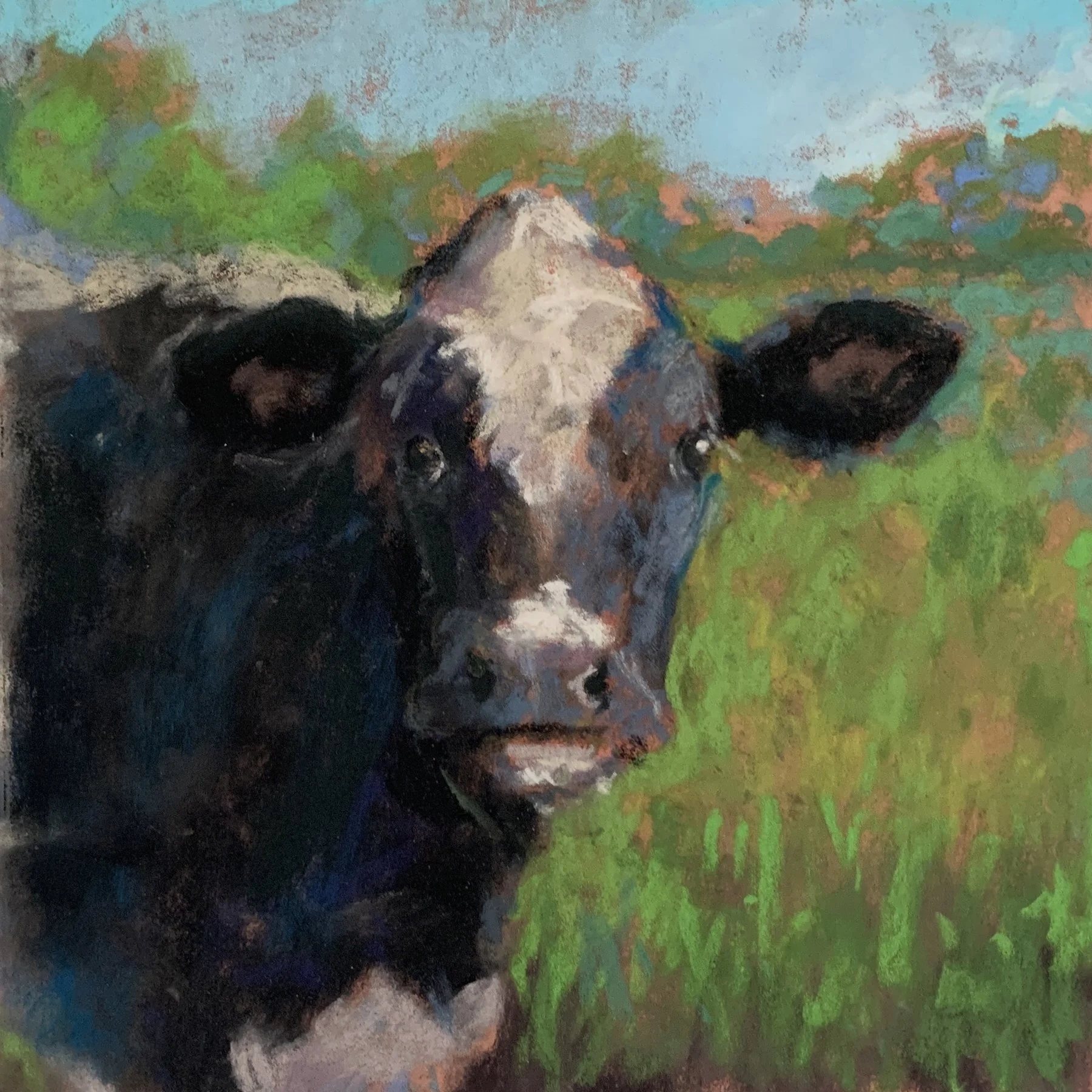 HvEFinn_Little Cow_Pastel.jpg