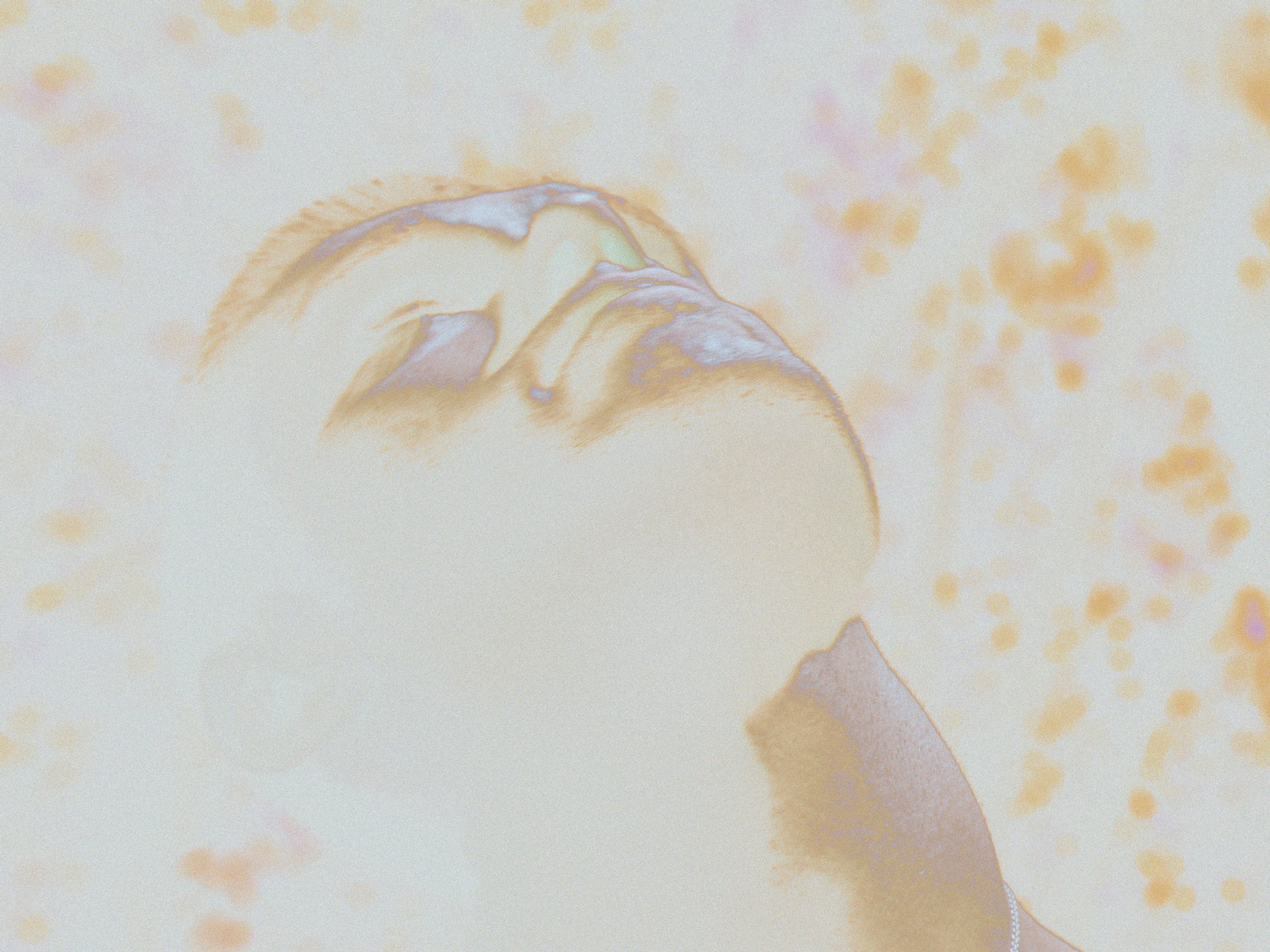 EDIT V2.00_00_12_19.Still020.jpg