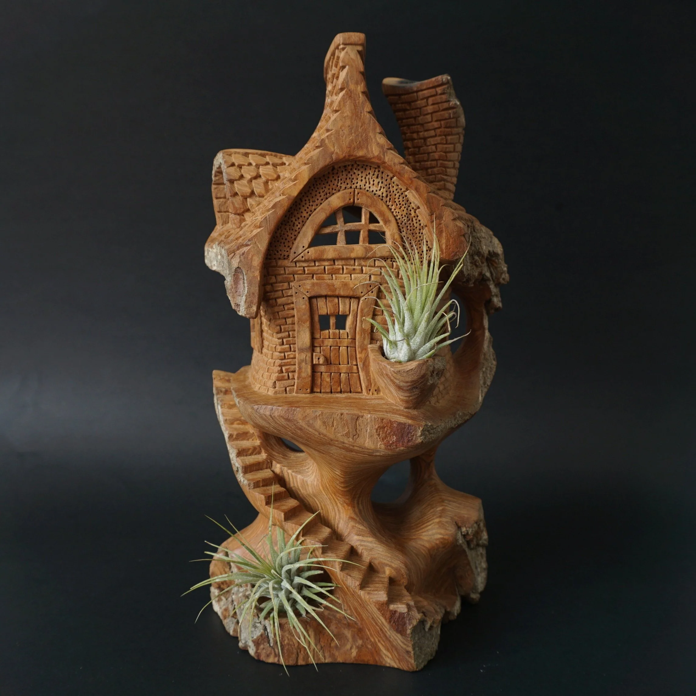 In the Spring Valley, cottonwood bark carving with two Air Plants