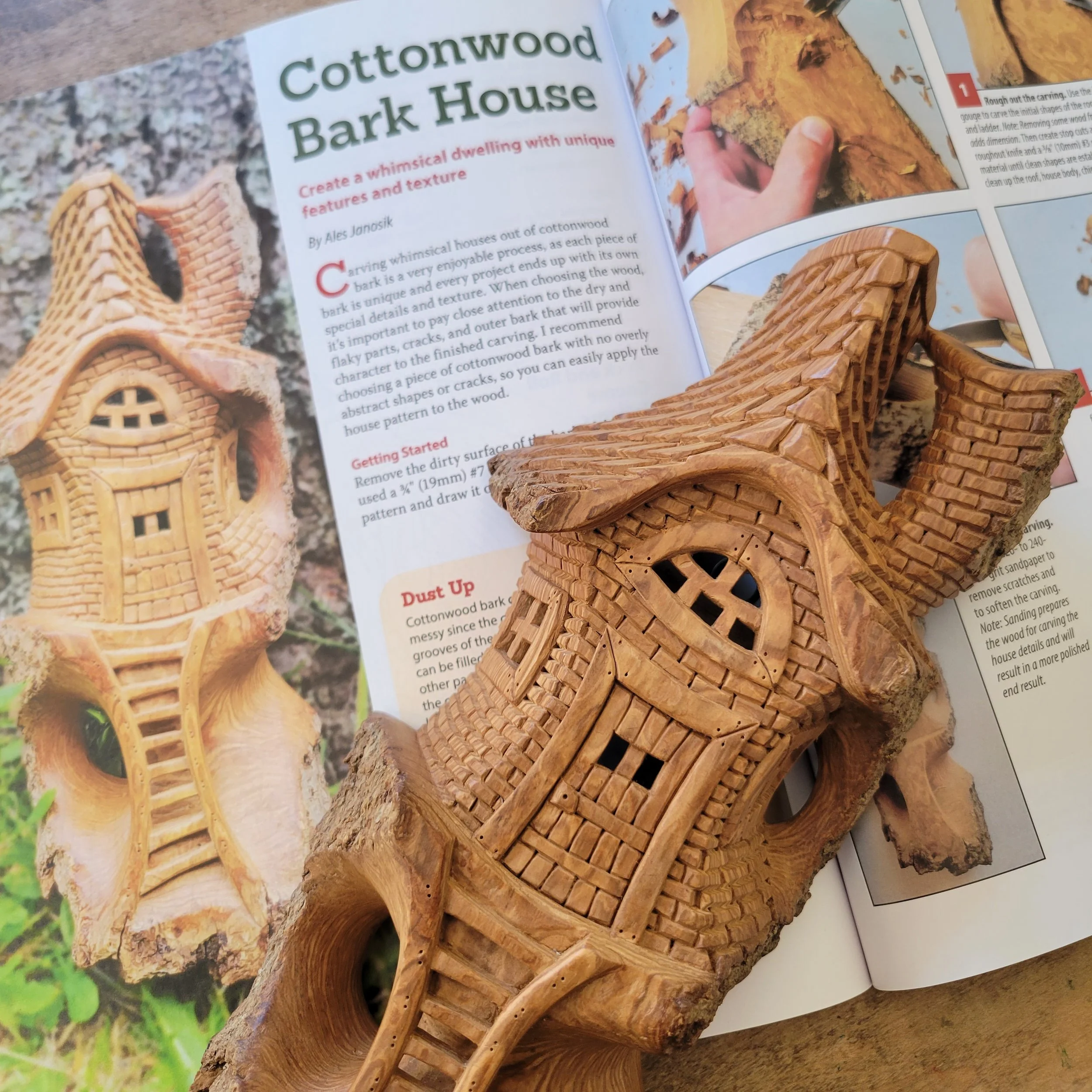 My Piece for the Woodcarving Illustrated magazine