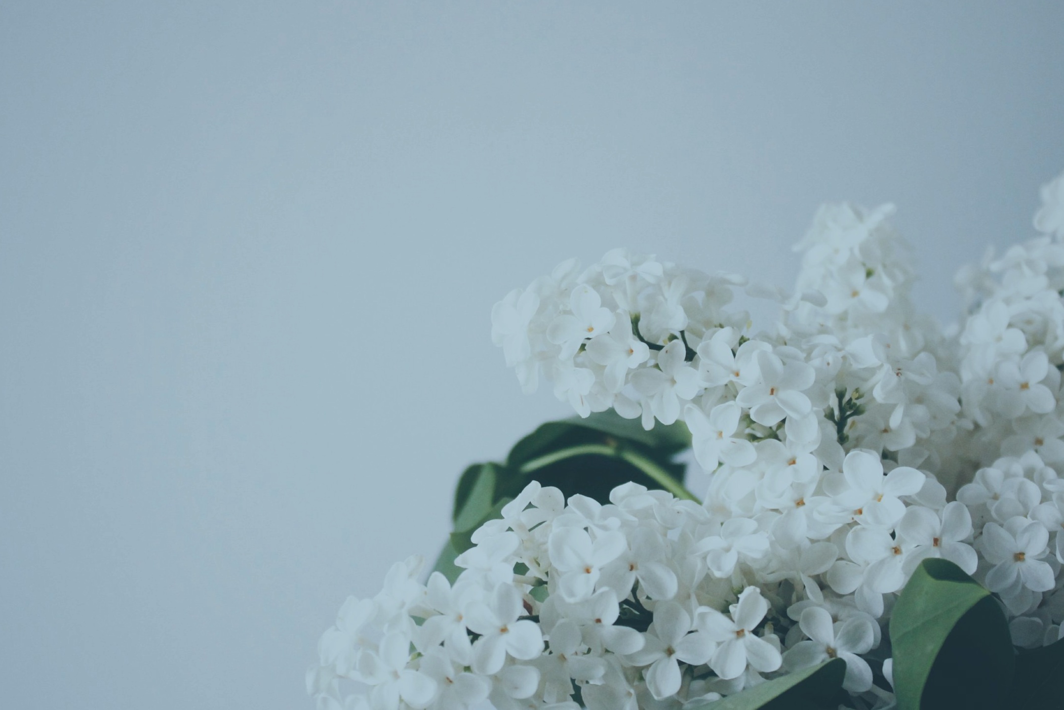 veri-ivanova-17534-unsplash.jpg
