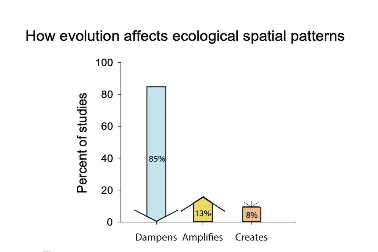 New Paper: Evolution reduces spatial heterogeneity
