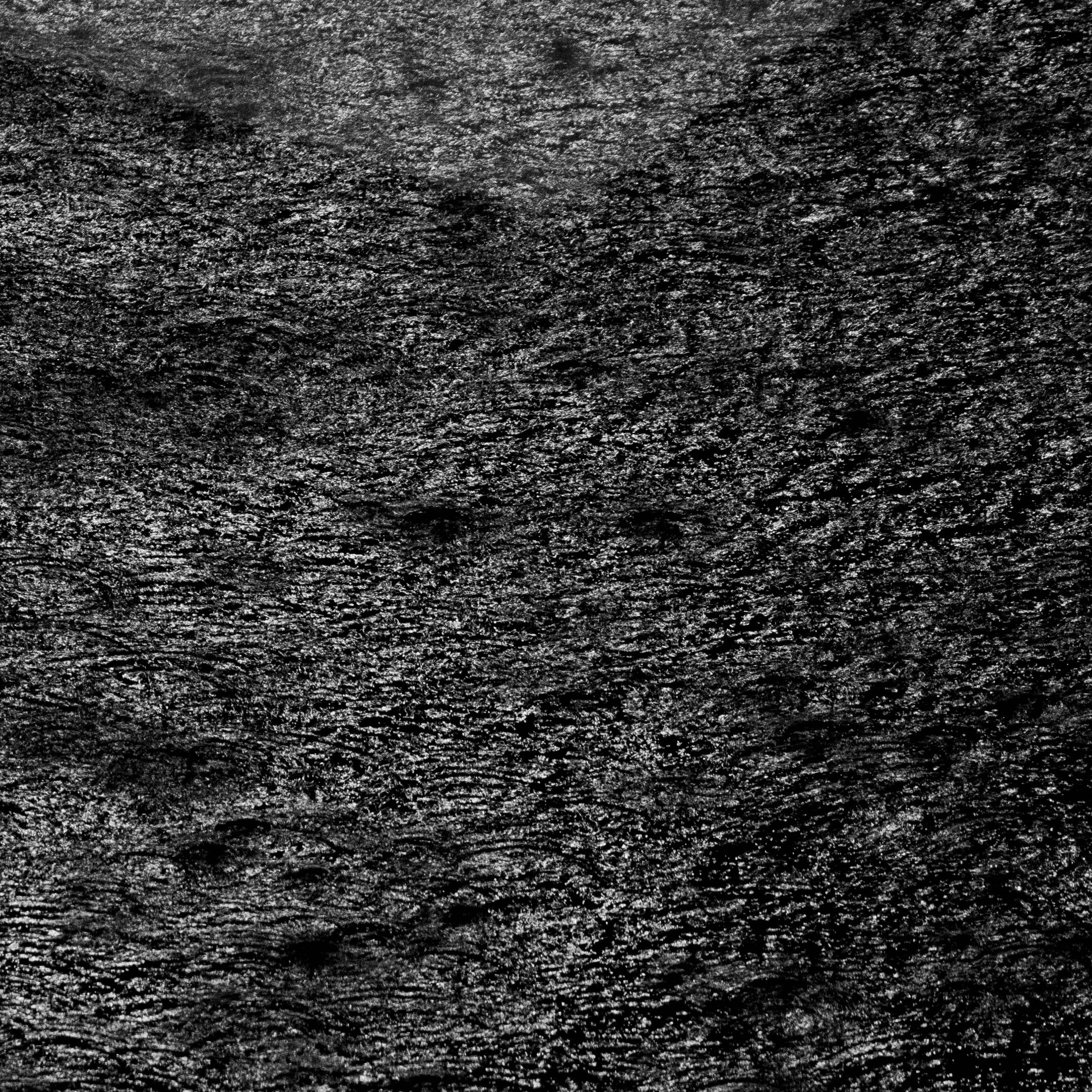 _MG_7704-2.jpg