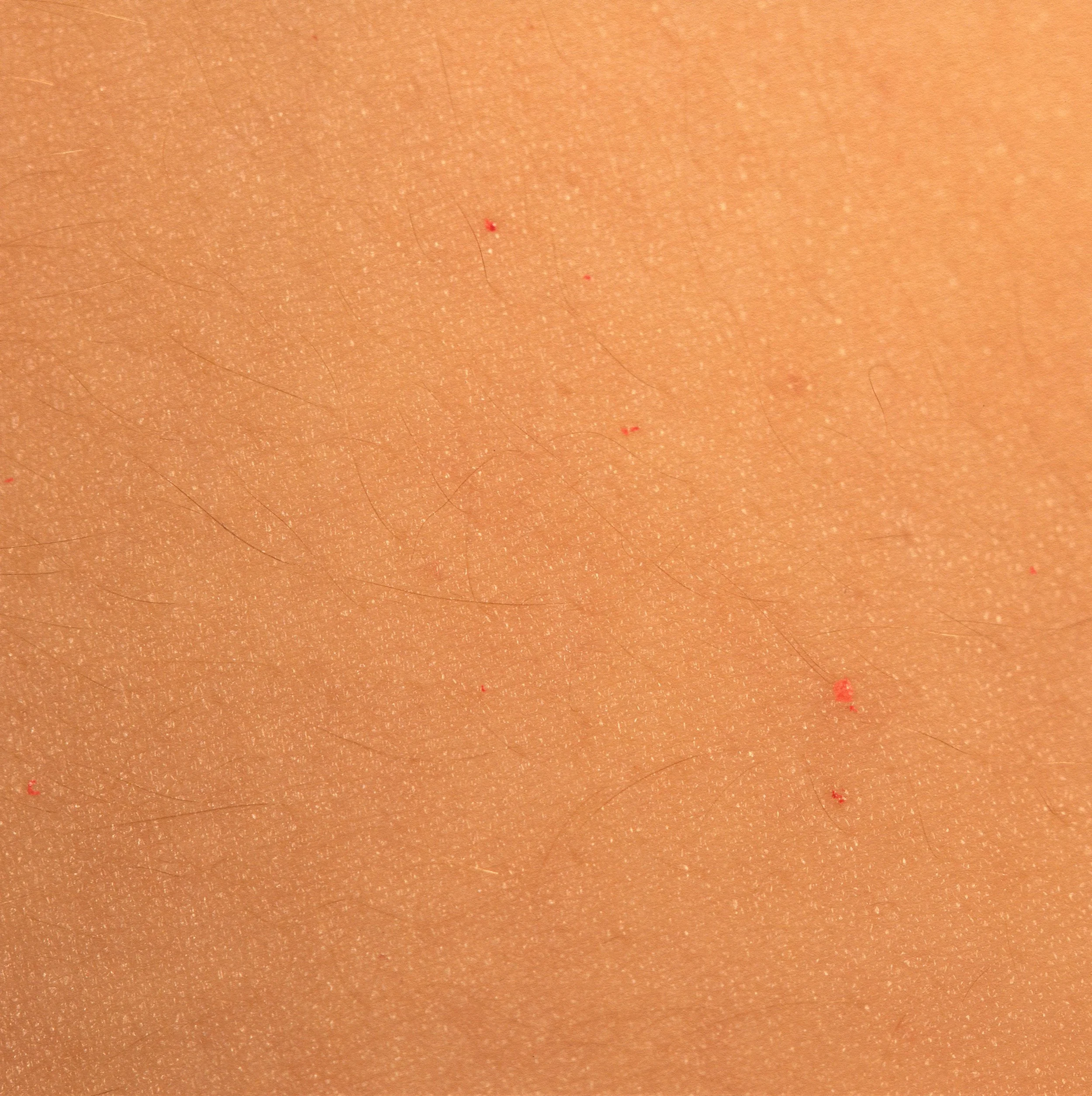 8. I'm glad we have constellations together.jpg