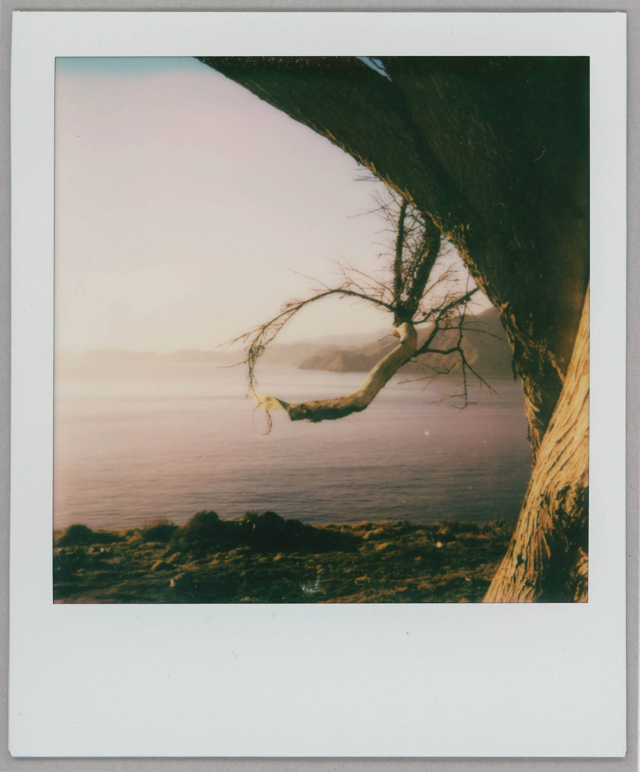 Christine Ortiz_nature persists.jpg