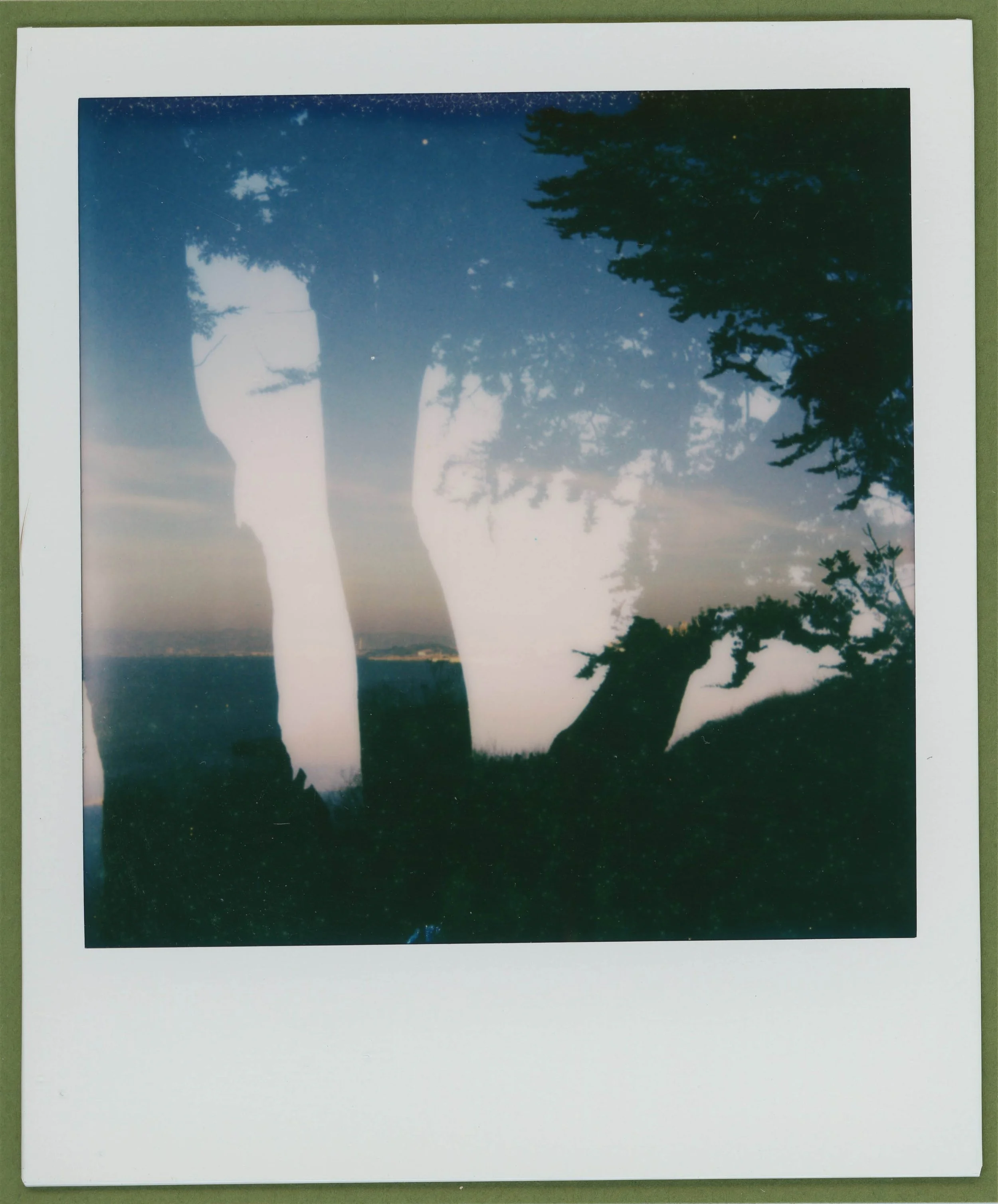 Christine Ortiz_greenery everywhere.jpg