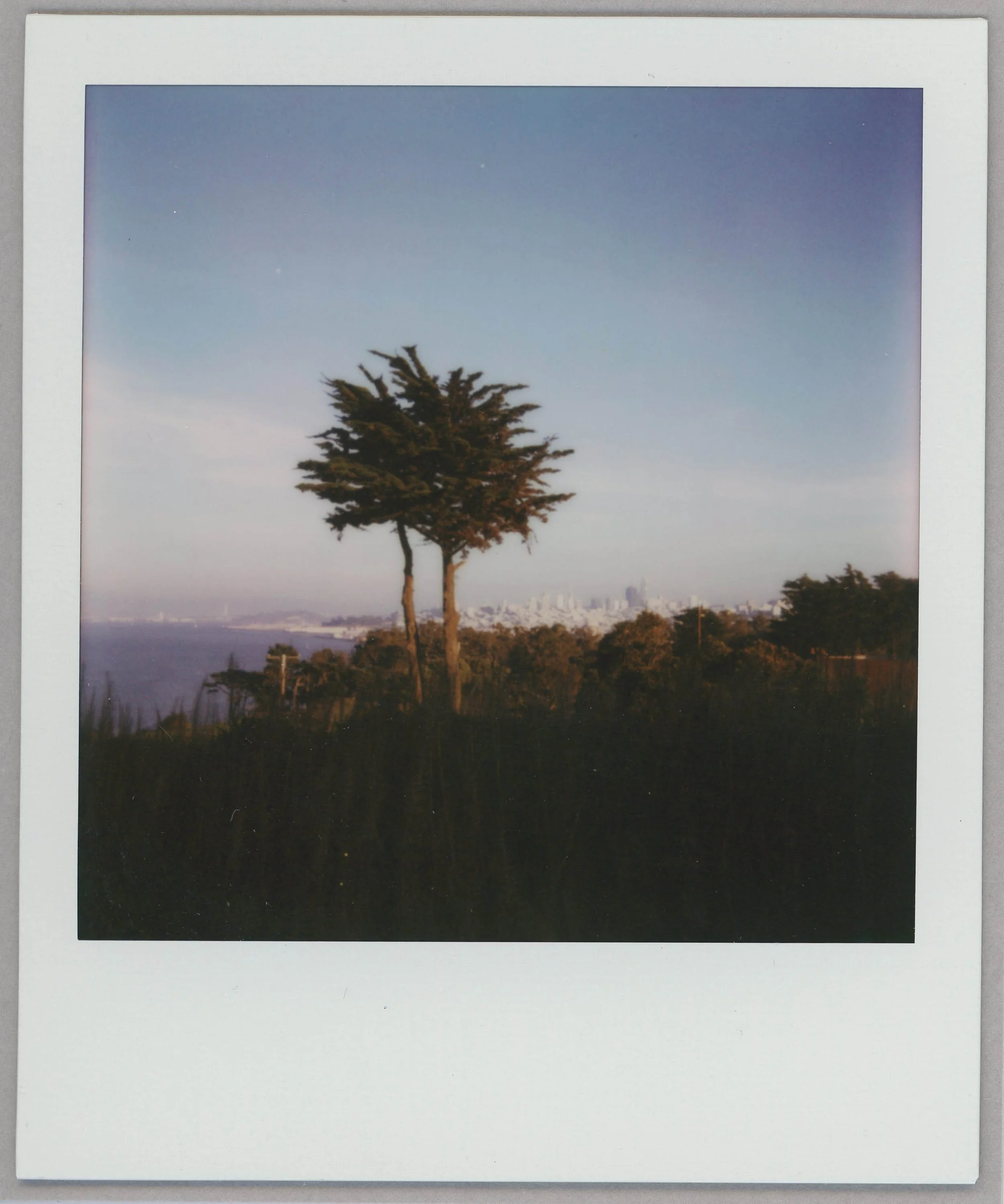 Christine Ortiz_natural & man-made beauty.jpg