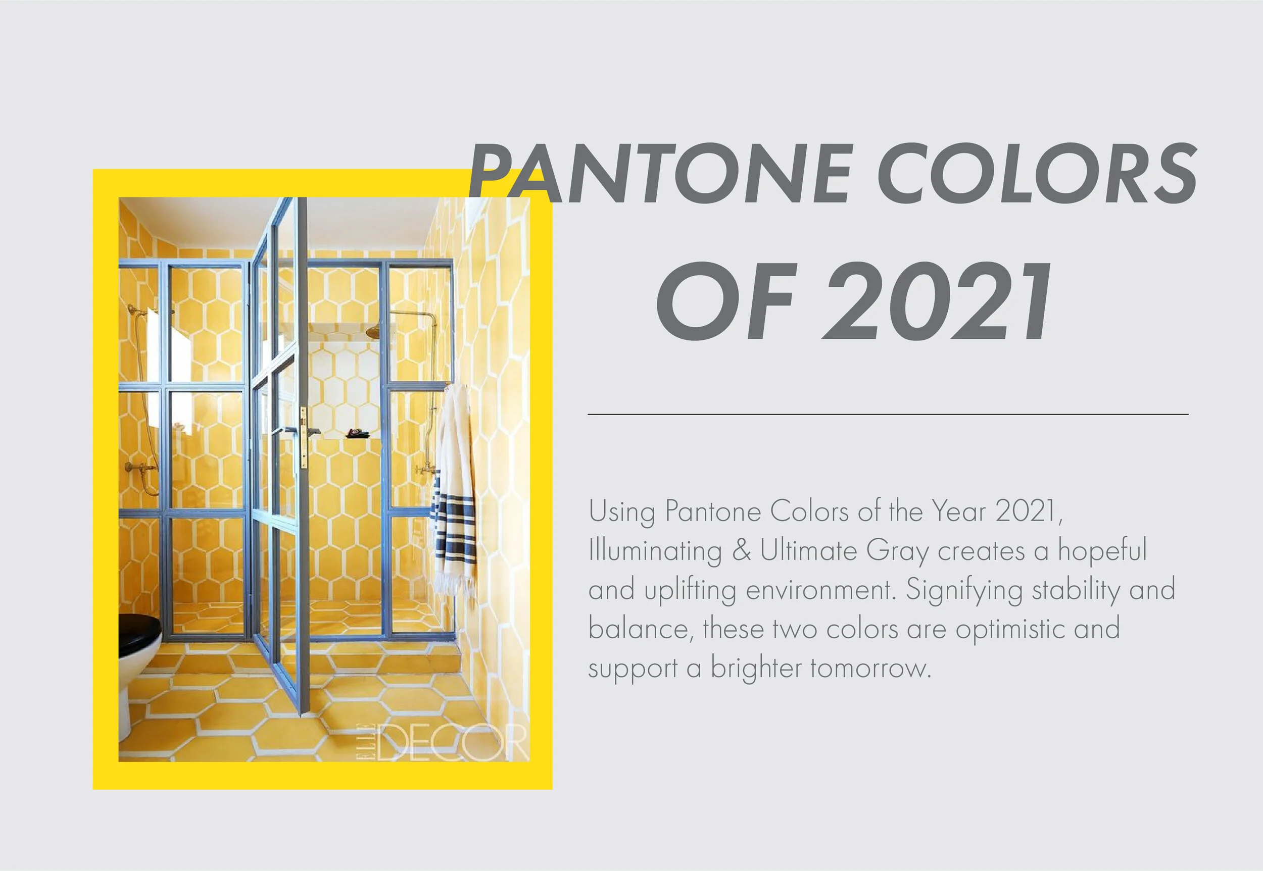 PANTONE1-01.jpg