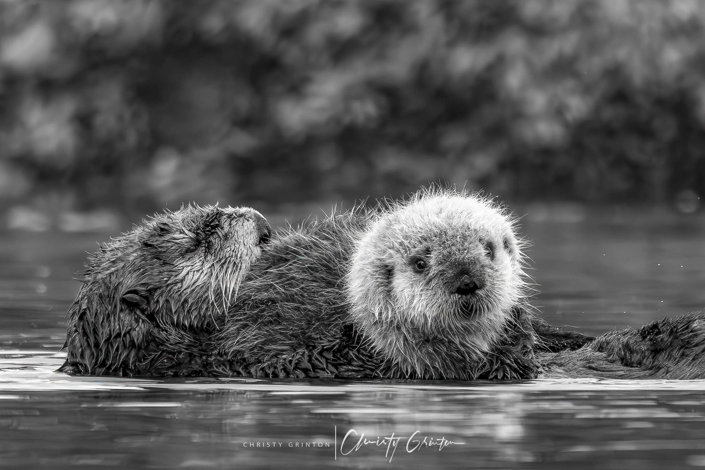 R5II9919-Enhanced-NR-Edit-2.jpg