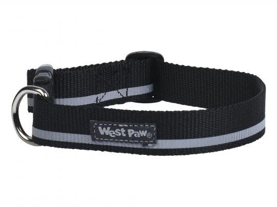 CL015BLR_STROLLS COLLAR_SMALL.jpg