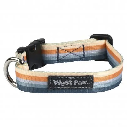 CL041LTR_OUTINGS COLLAR_SMALL.jpg