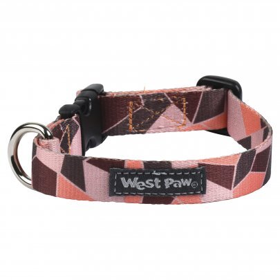 CL041PIF_OUTINGS COLLAR_SMALL.jpg