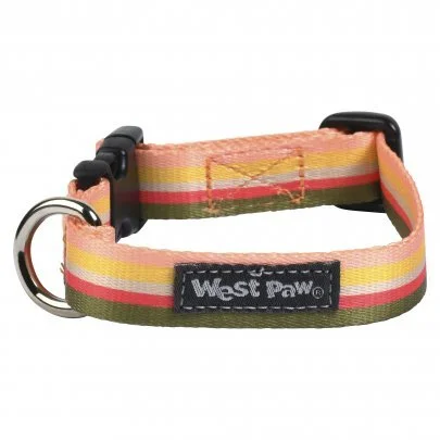CL041RTR_OUTINGS COLLAR_SMALL.jpg