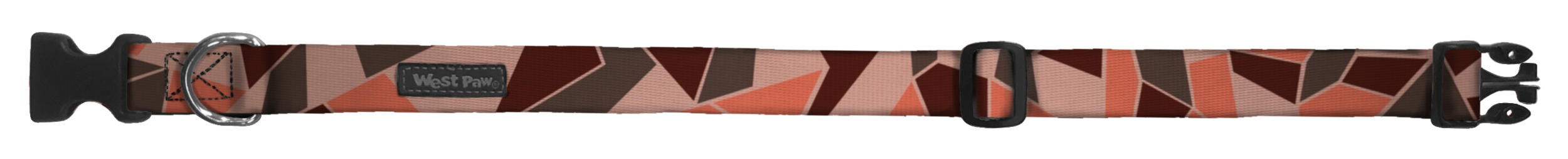 Outings_PinkFractal_020520.png