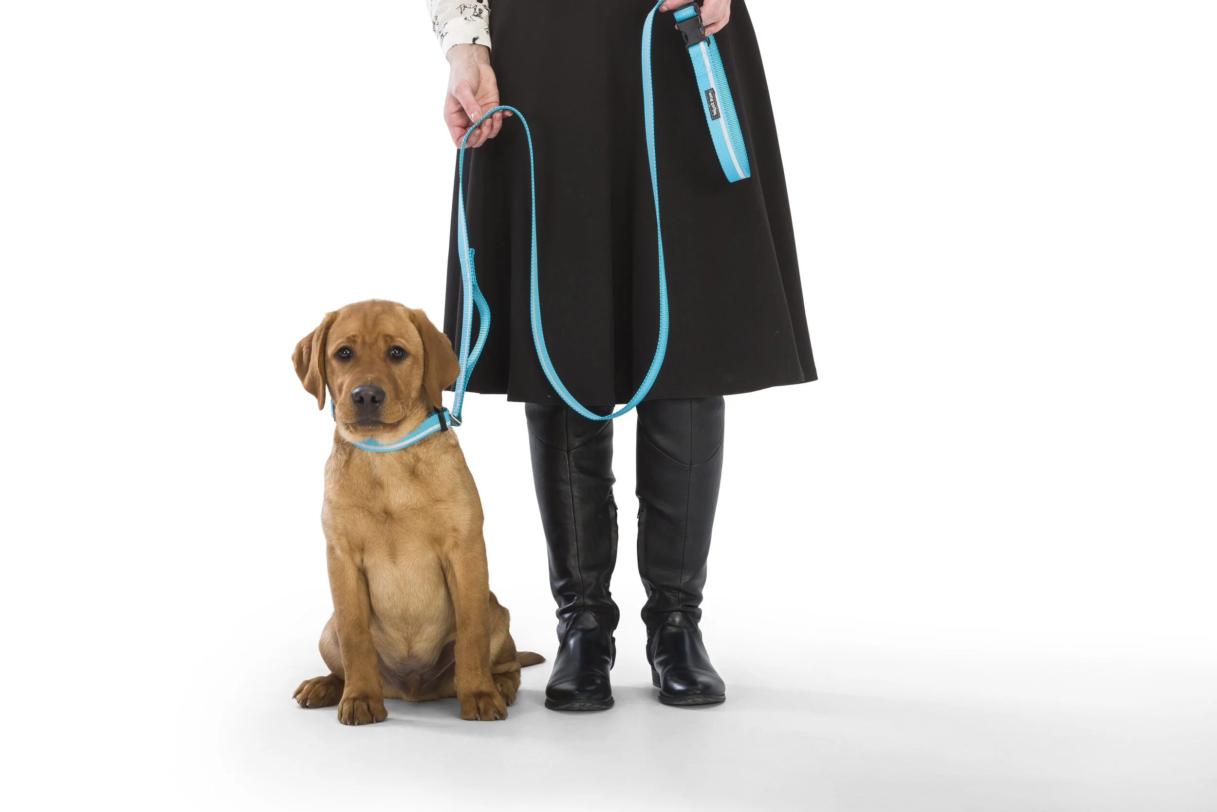 STROLLS_COLLAR&LEASH_TURQUOISE.jpg