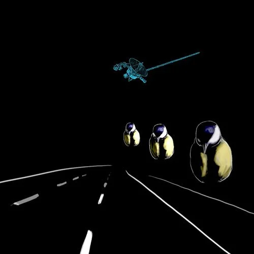 vb_birds.jpg
