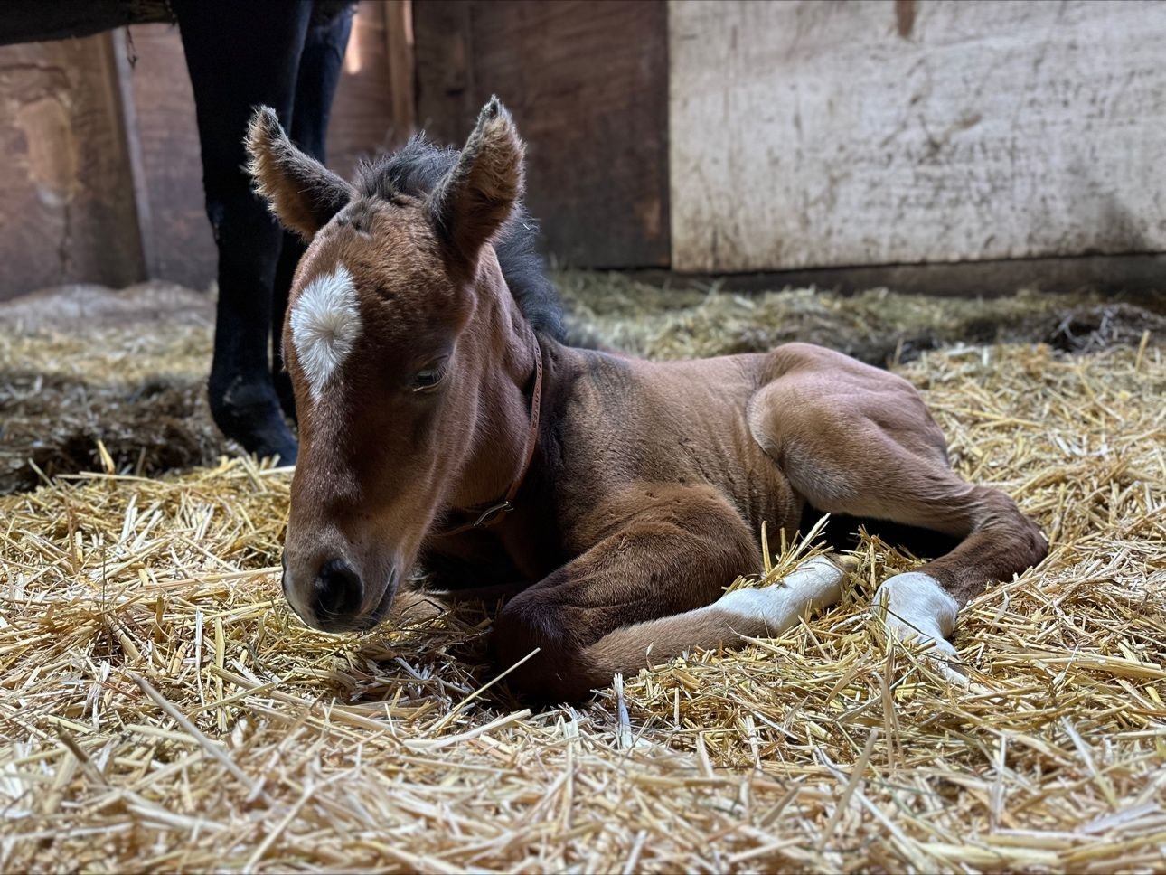 Influencing; How it can start via your passion