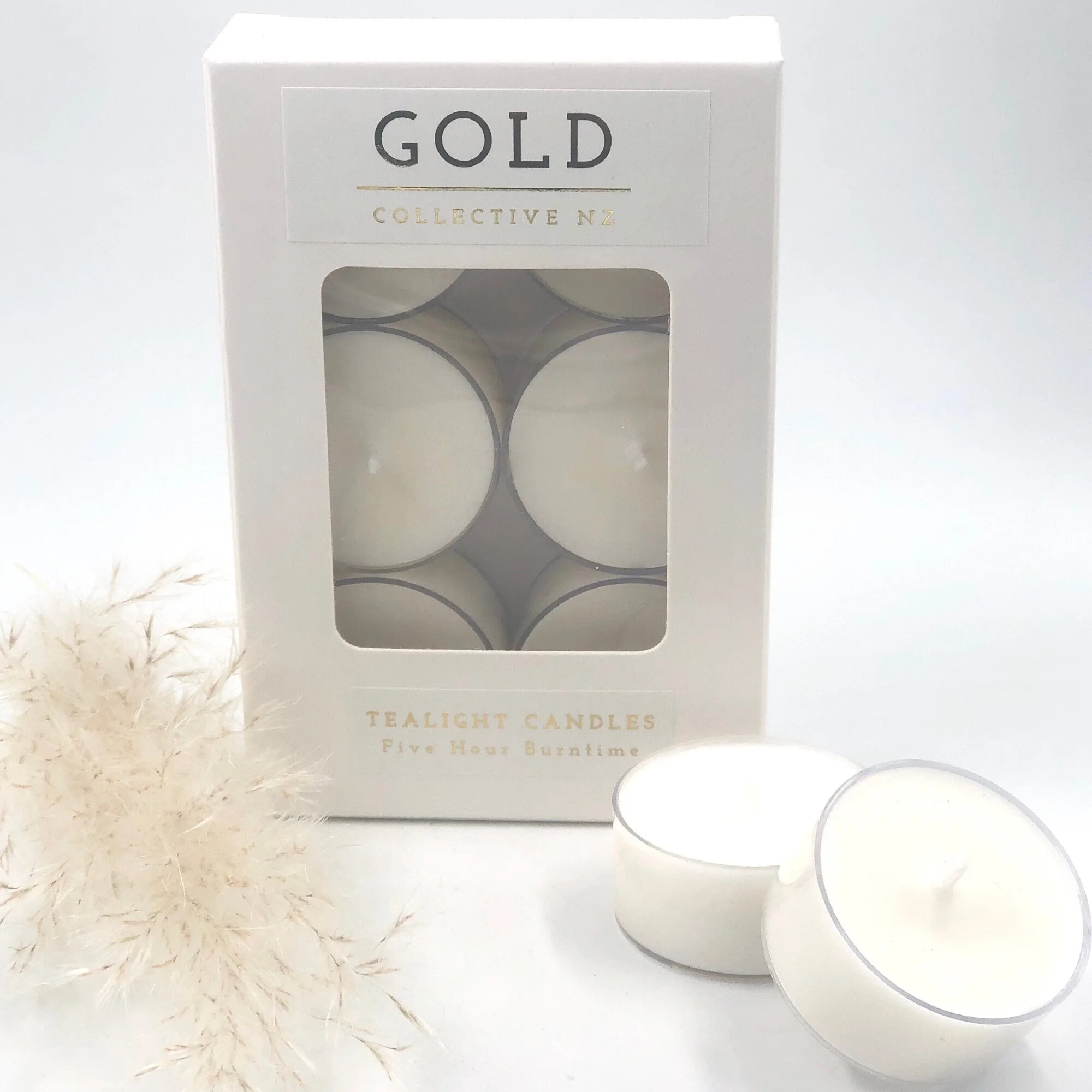 4E6404E6-ACE0-4381-8A2C-D33256667B26