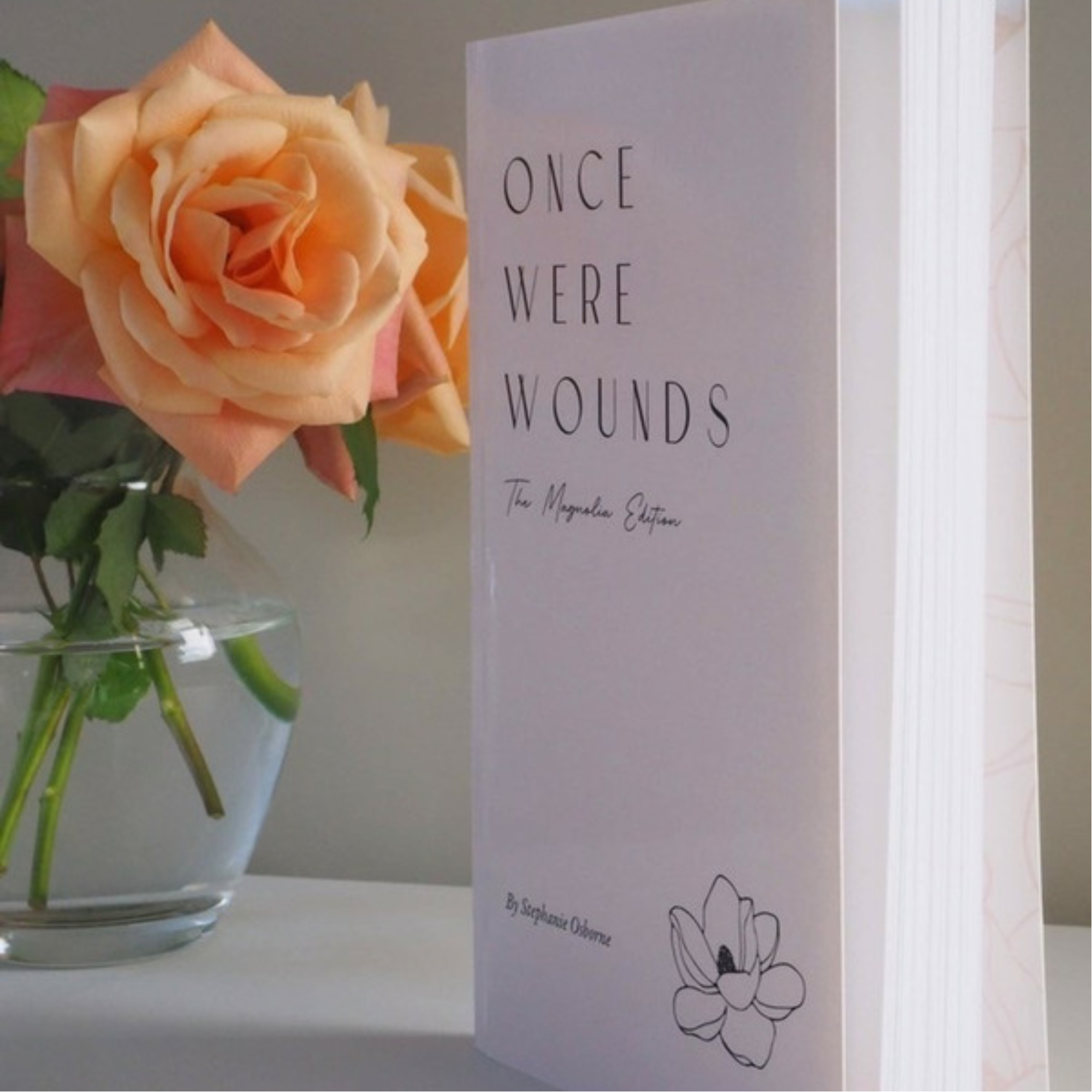 8571F73C-D91E-440D-A87C-F21E378DBC87