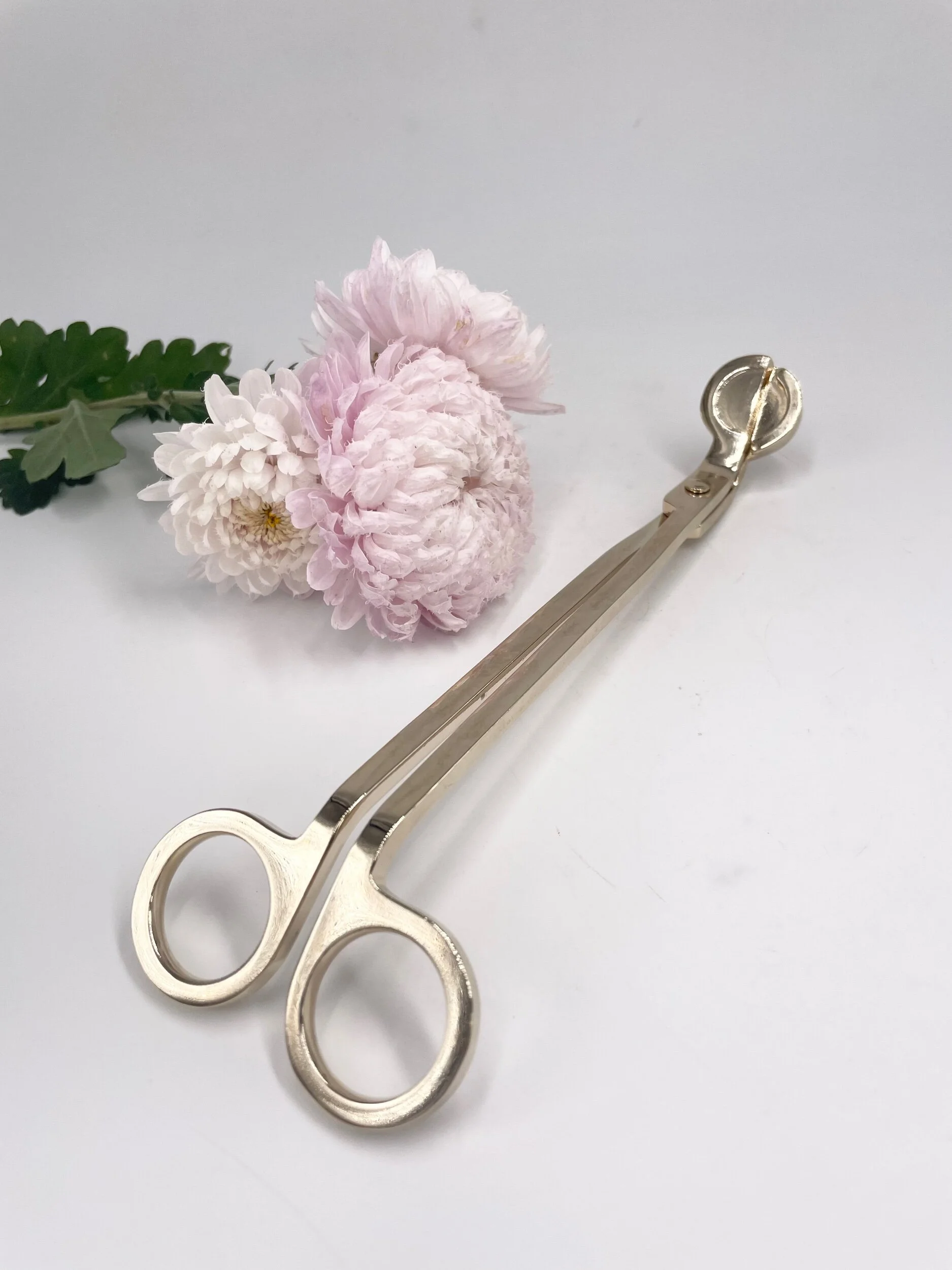 FD006E9A-DA60-4CA4-8185-558B16DE7CAE