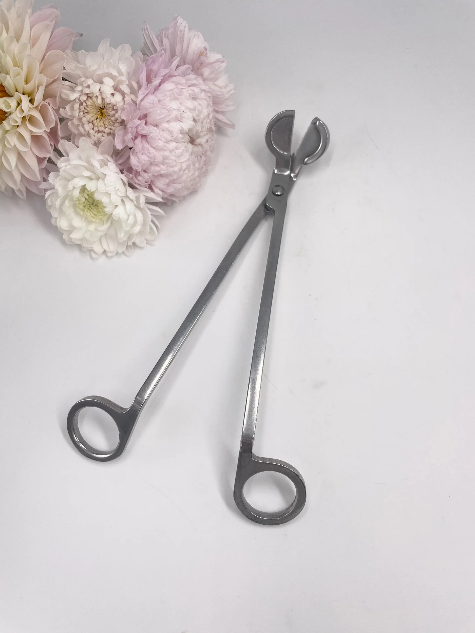 7A4A0AB1-E0CE-4FA3-956B-F2AA3E747566