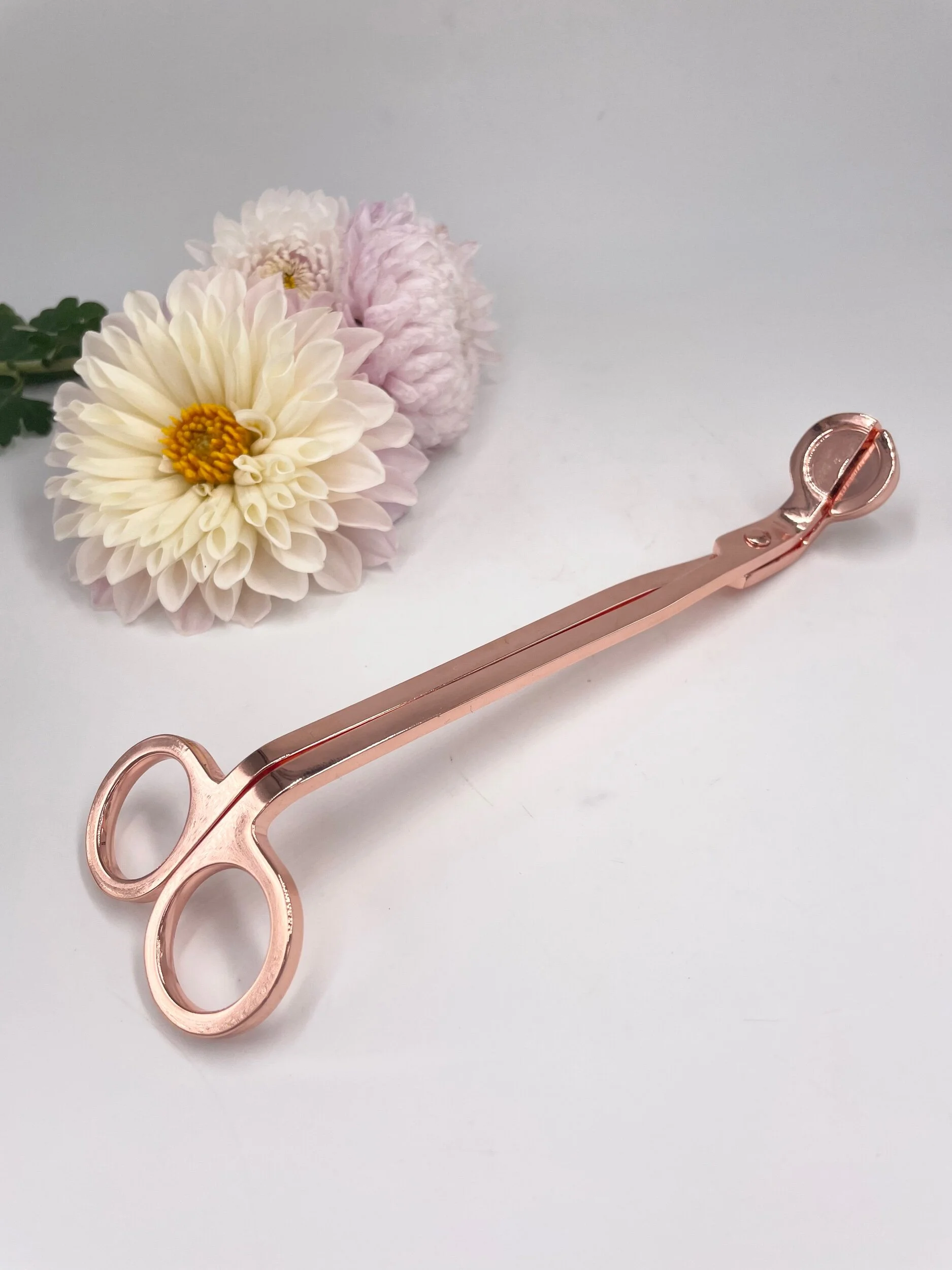 0607BECD-93E6-4482-8851-4D8954F7FB4F