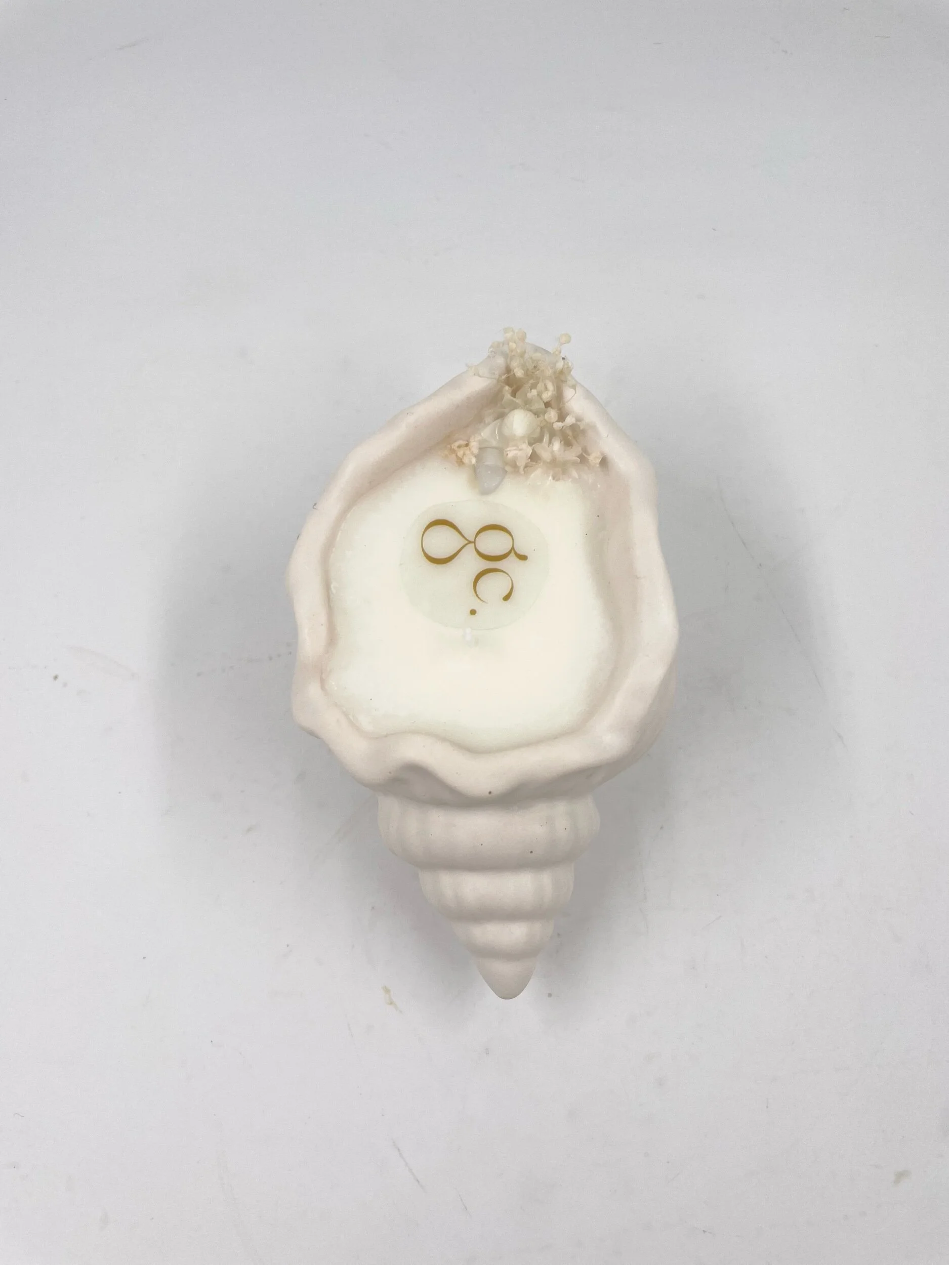 1120589D-BDB7-49BC-8D40-9537A3DE97F4