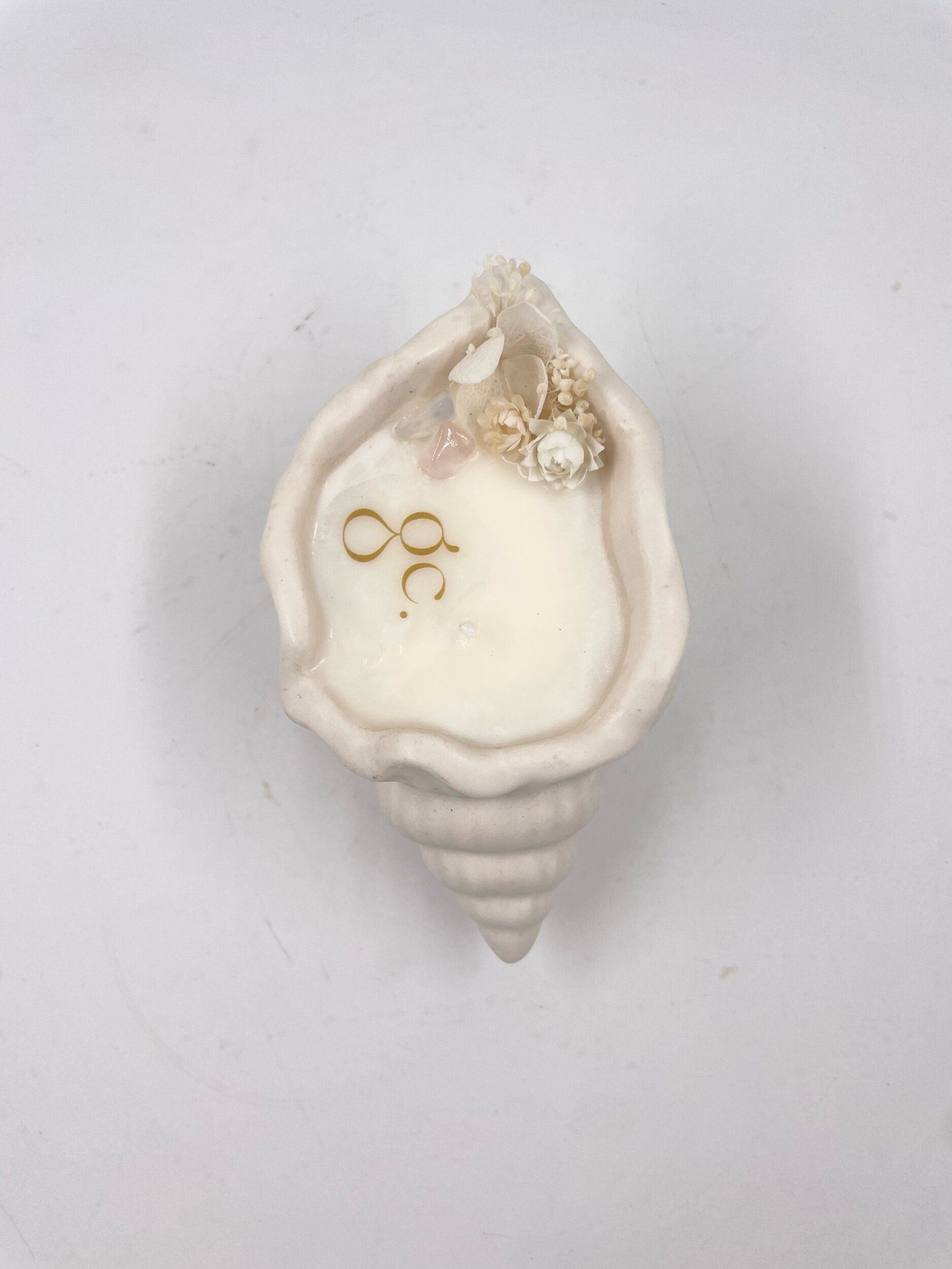 FD884AC6-7368-4121-AE59-FD00048DCCB5